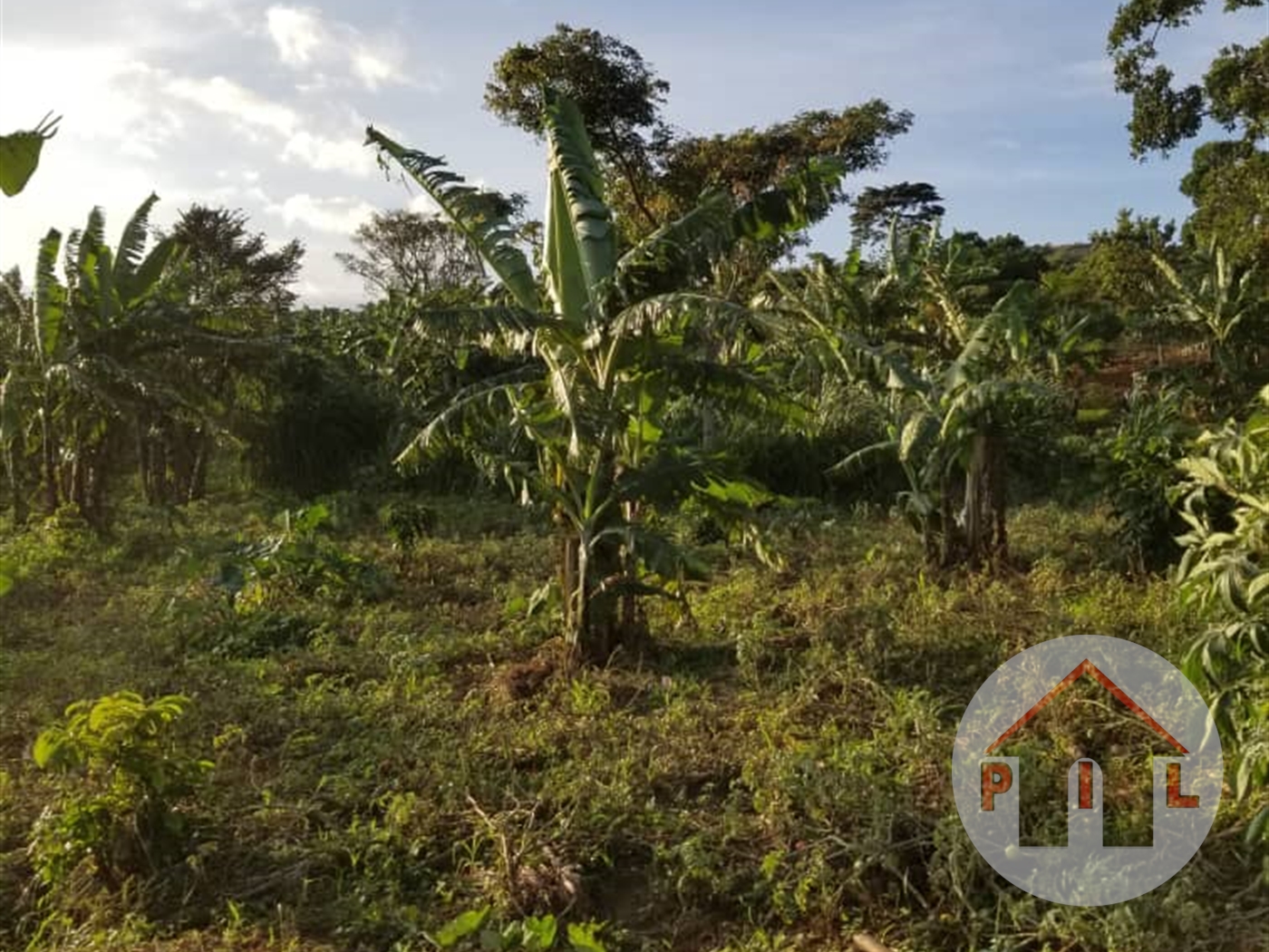 Agricultural Land for sale in Kayonza Kayunga