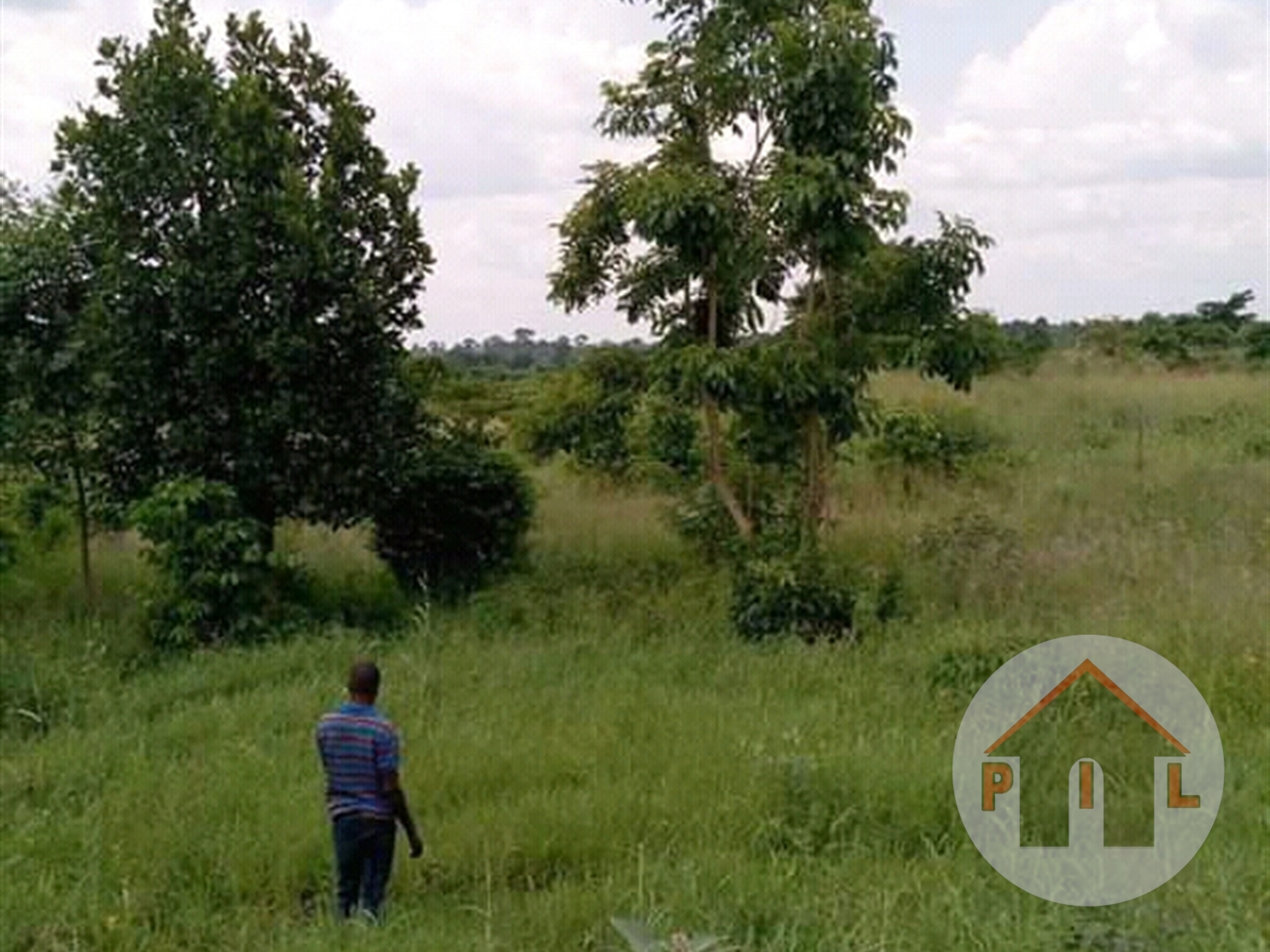 Agricultural Land for sale in Nabusugwe Wakiso