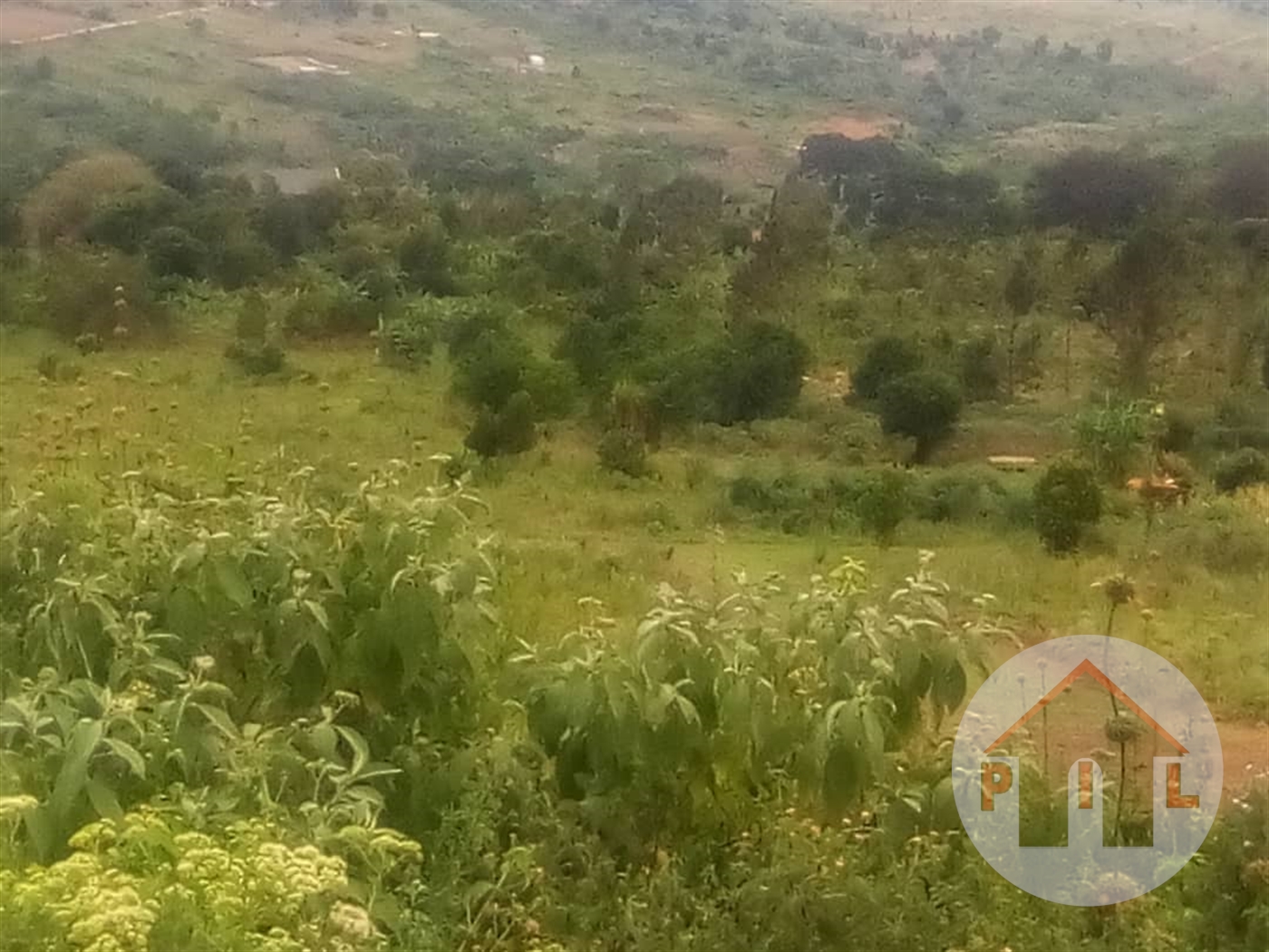 Agricultural Land for sale in Ddundu Wakiso