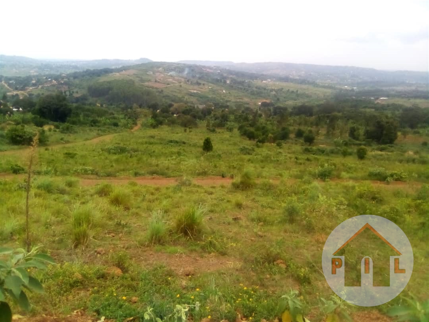 Agricultural Land for sale in Ddundu Wakiso