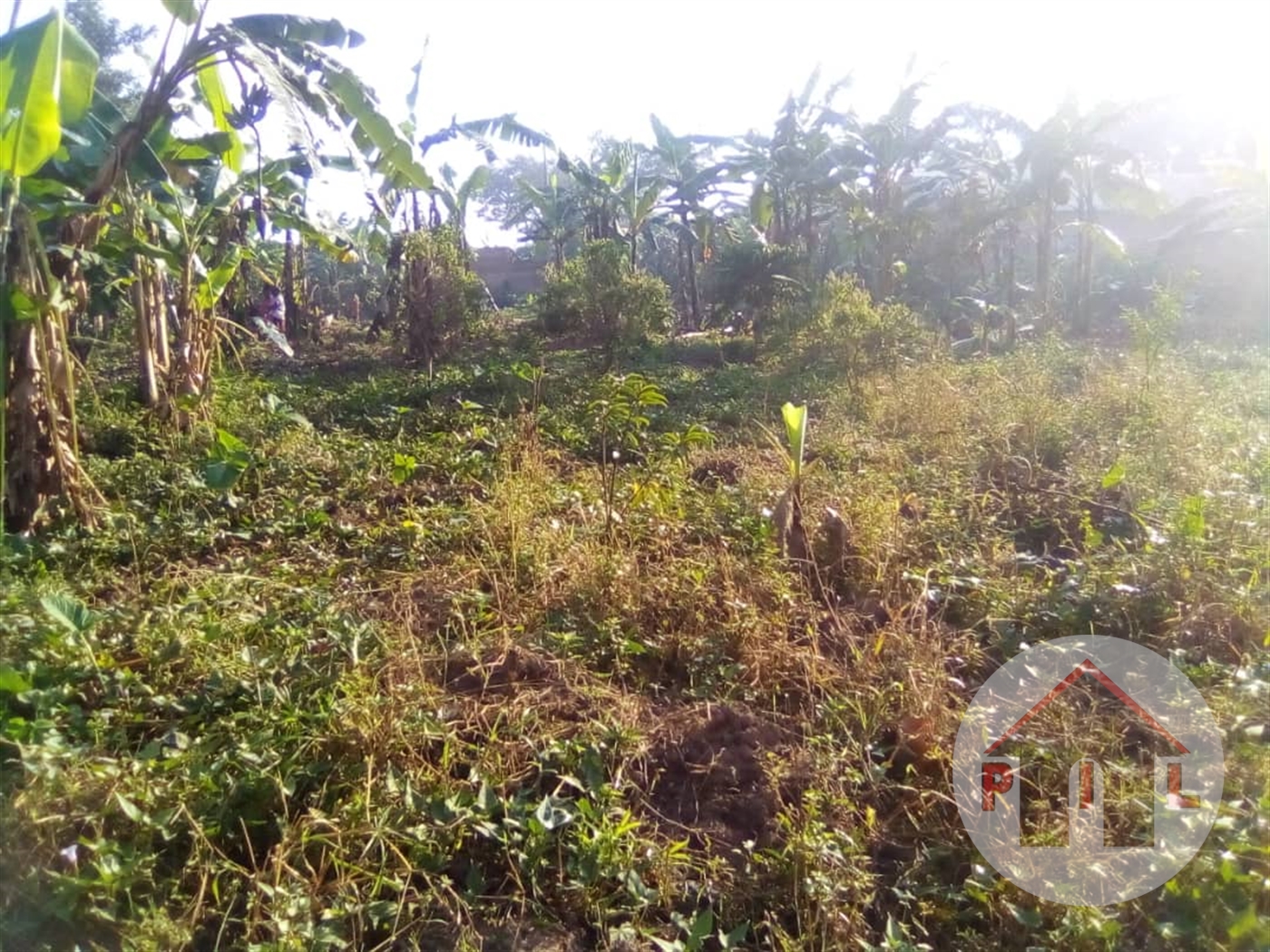 Agricultural Land for sale in Nalusuga Wakiso
