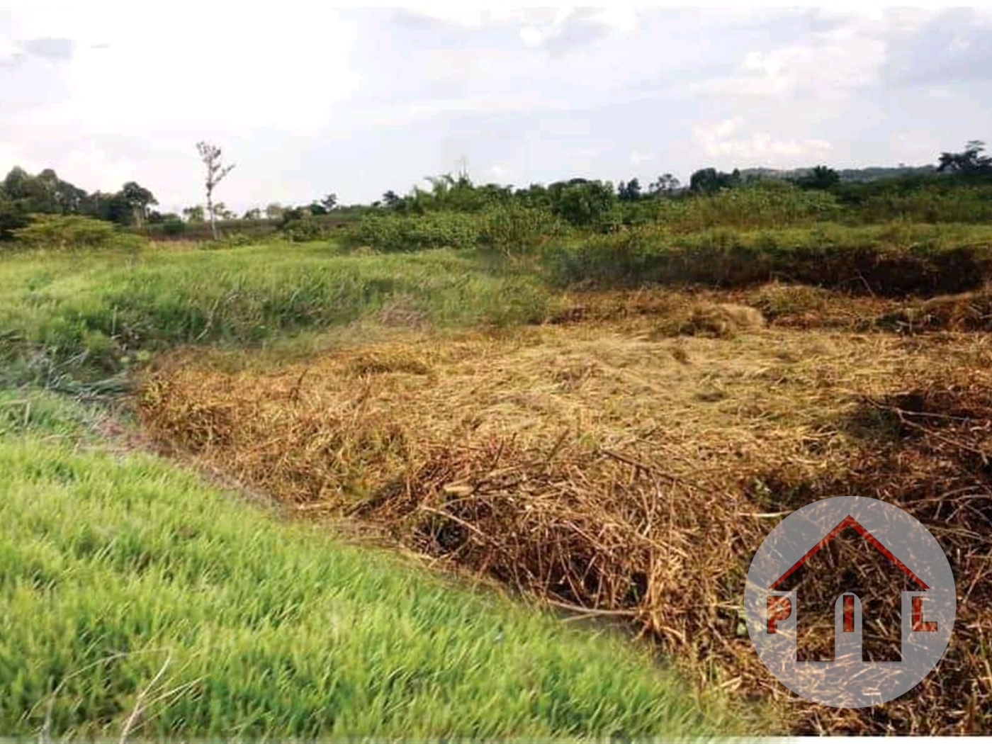 Agricultural Land for sale in Busunjju Wakiso