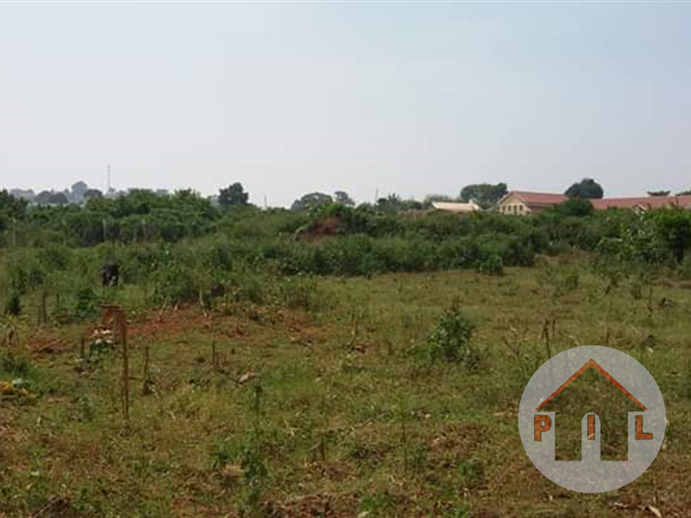 Agricultural Land for sale in Kigalaama Mityana