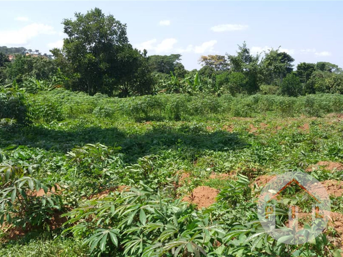 Agricultural Land for sale in Kiwenda Luweero