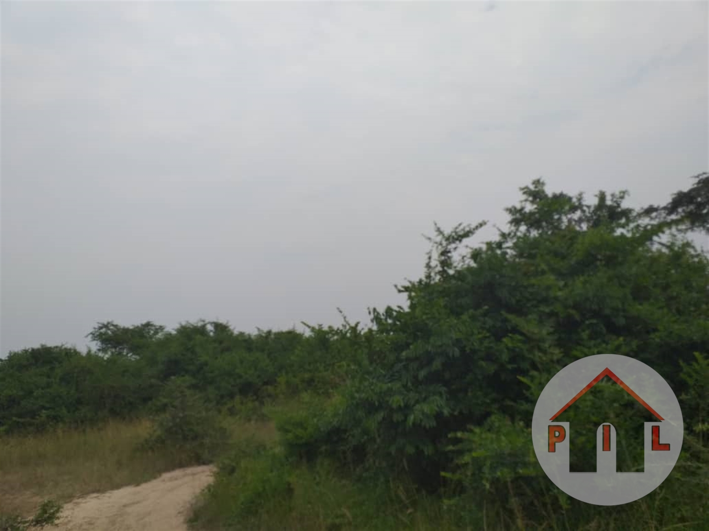 Multipurpose Land for sale in Mityana Mityana