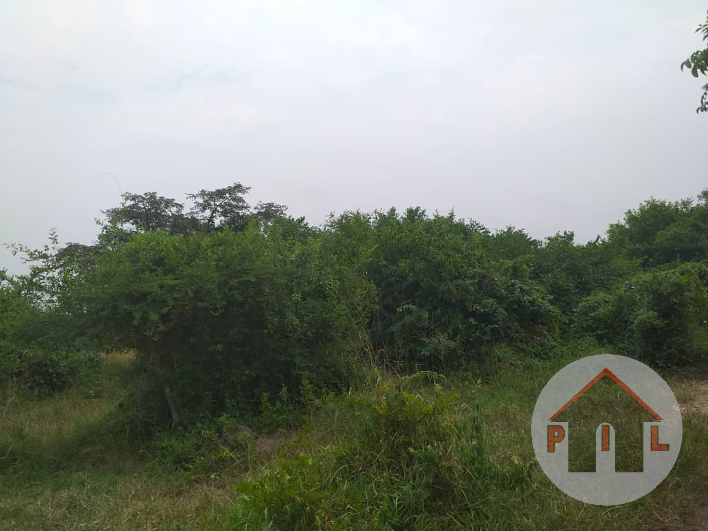Multipurpose Land for sale in Mityana Mityana