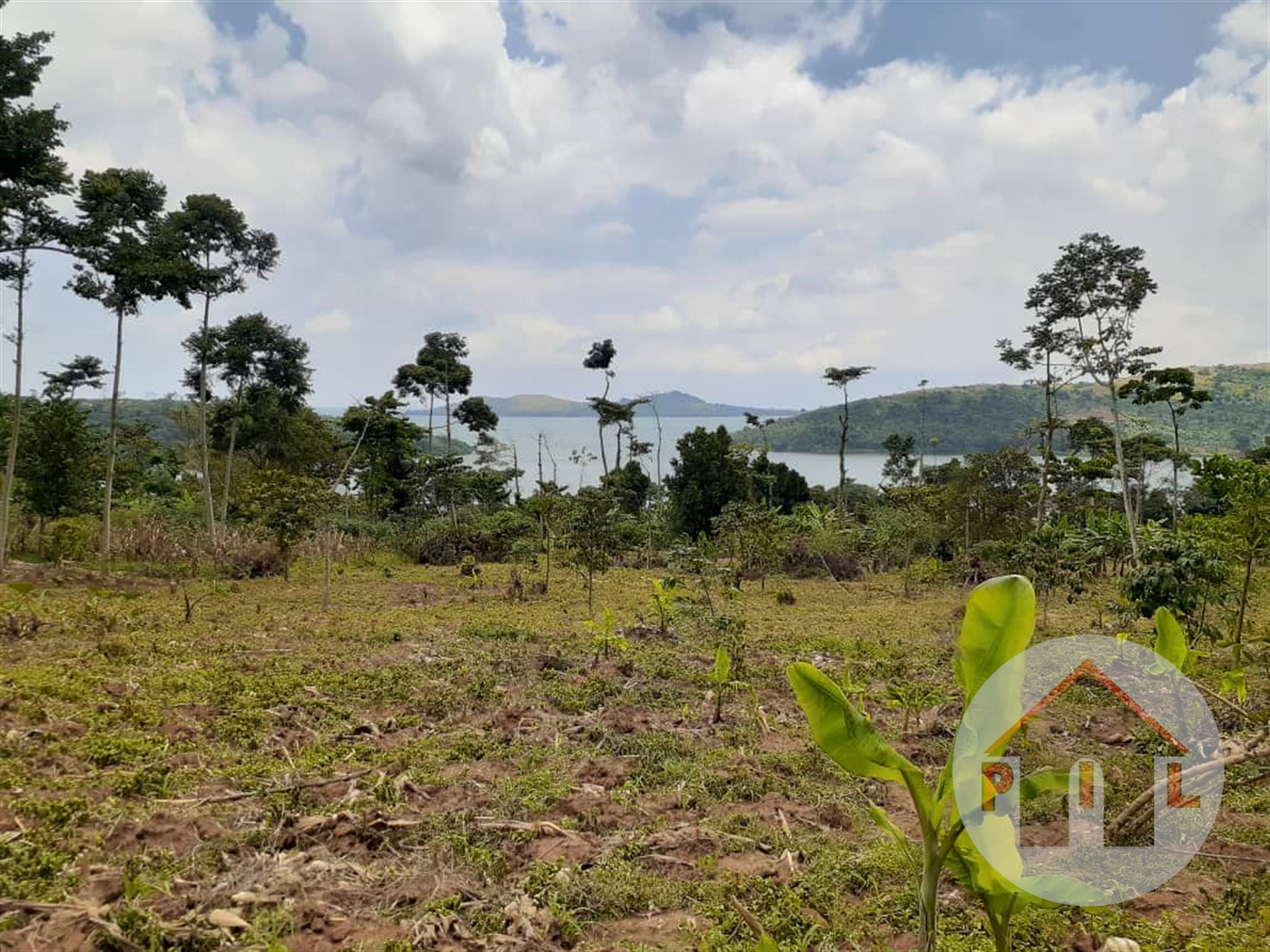 Agricultural Land for sale in Senyi Kayunga