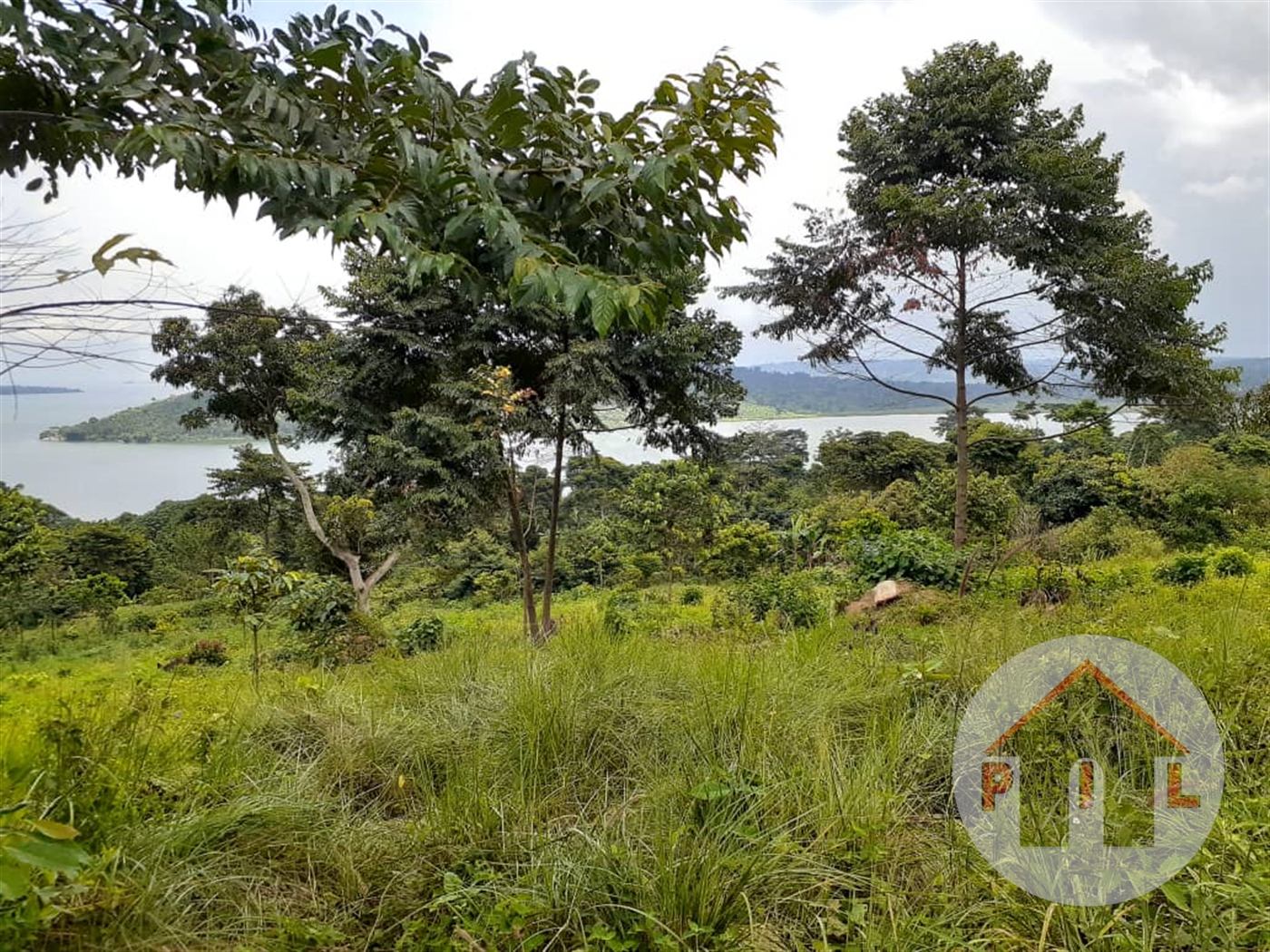 Agricultural Land for sale in Senyi Kayunga