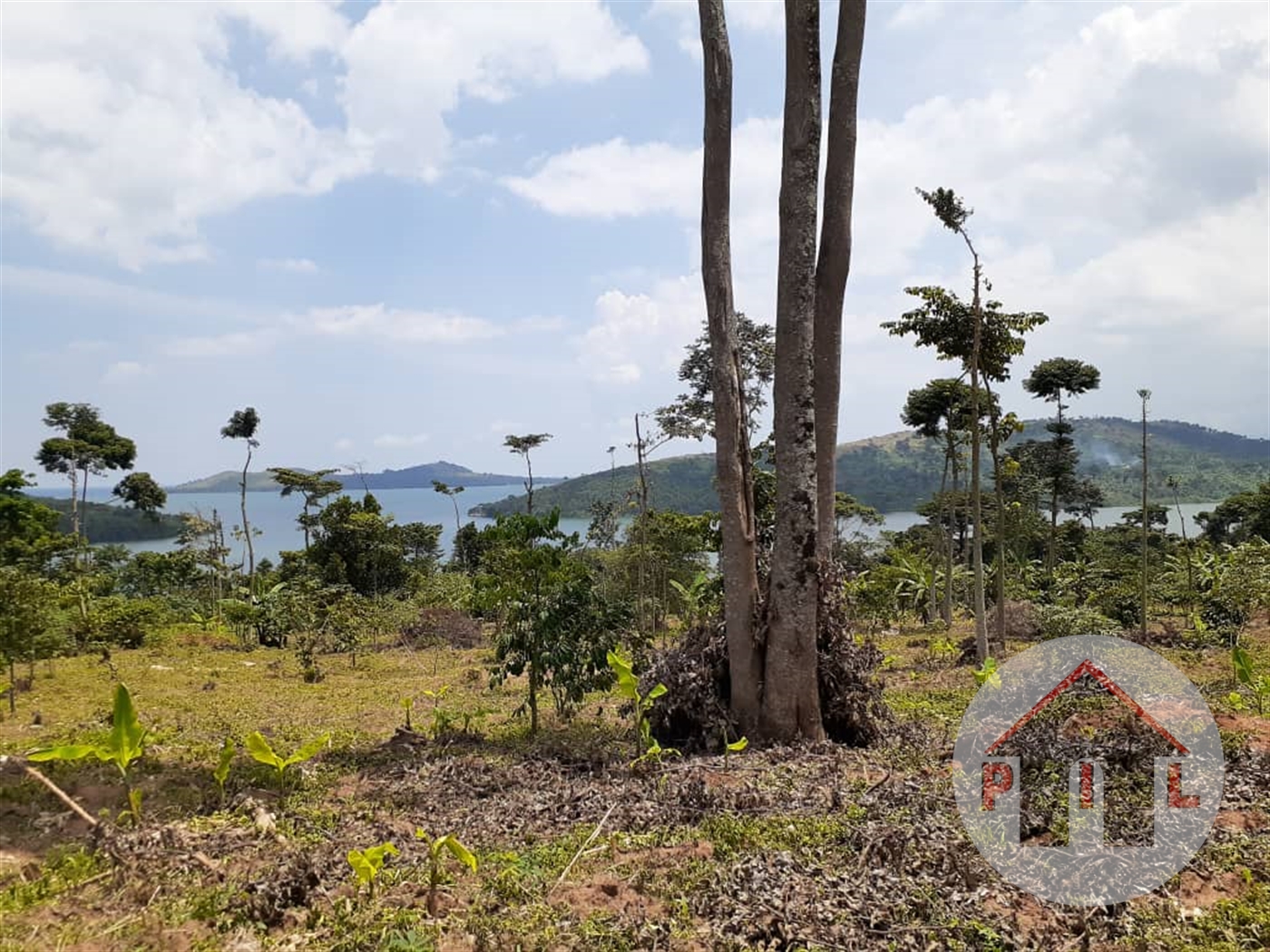 Agricultural Land for sale in Senyi Kayunga