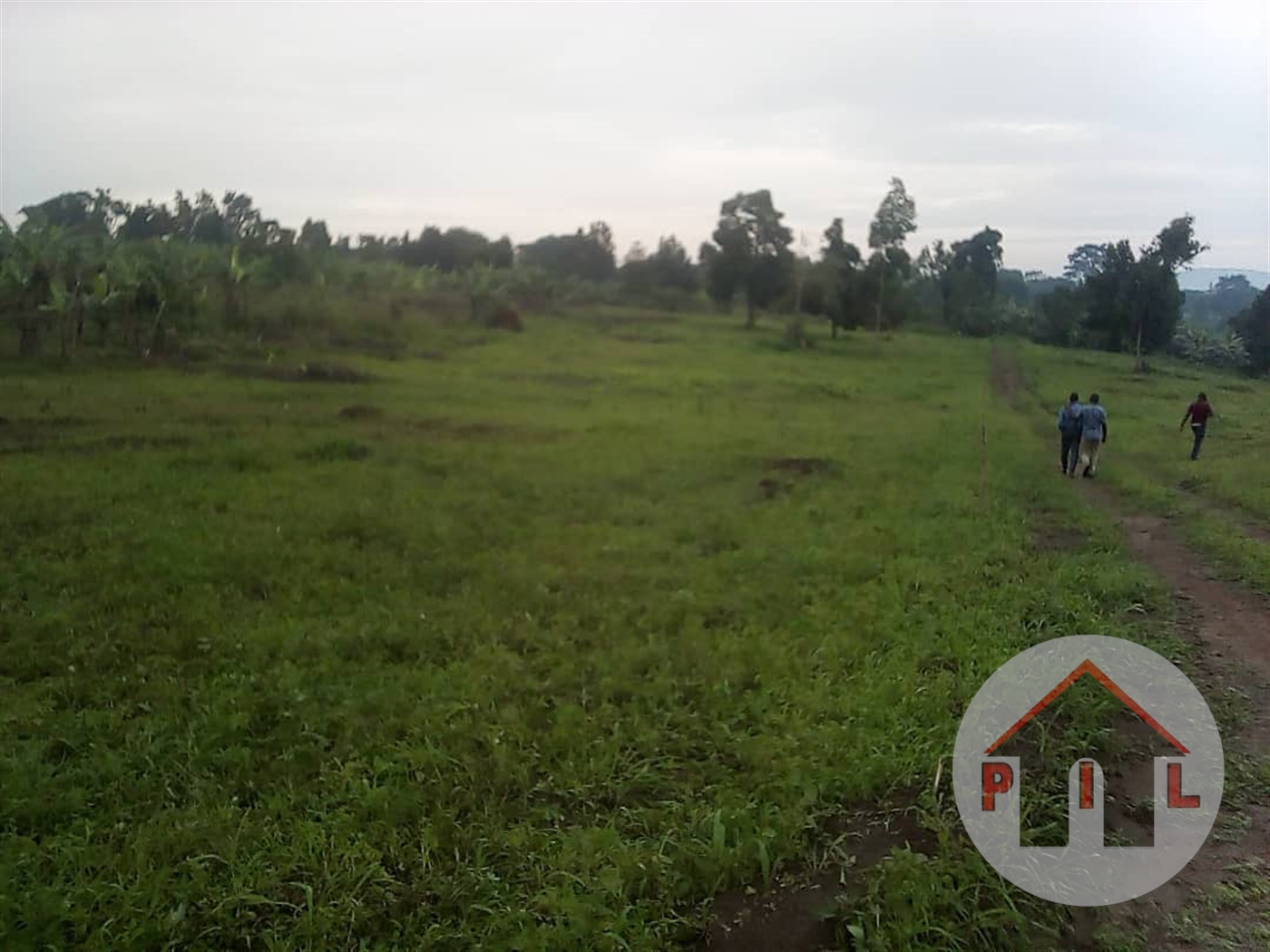Agricultural Land for sale in Migyera Nakasongola