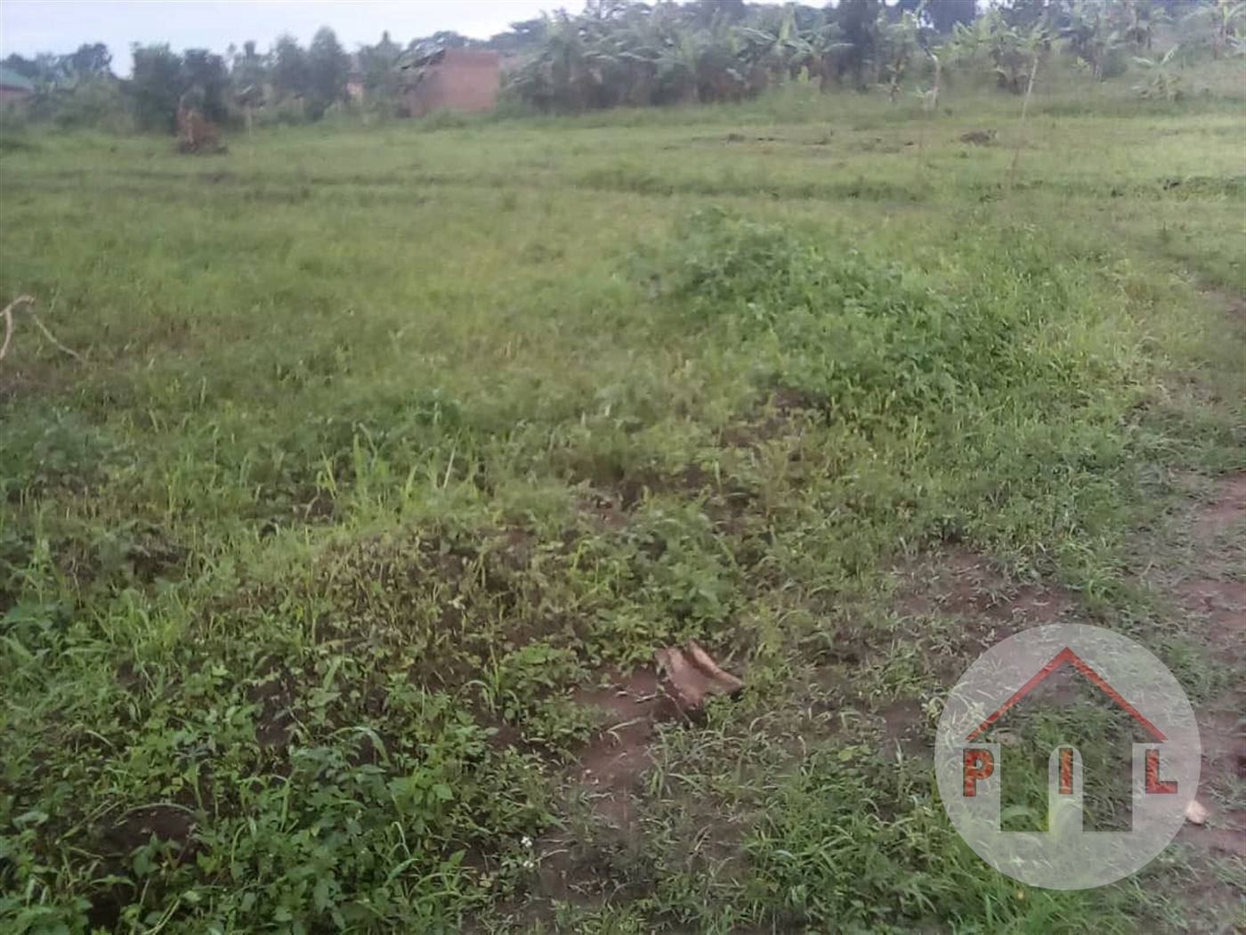 Agricultural Land for sale in Migyera Nakasongola