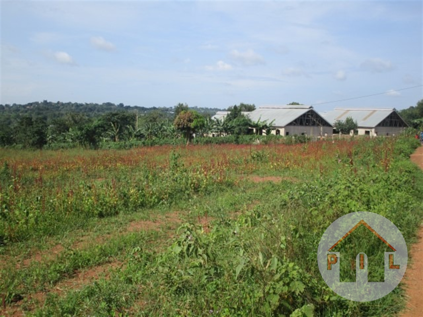 Agricultural Land for sale in Bombo Luweero