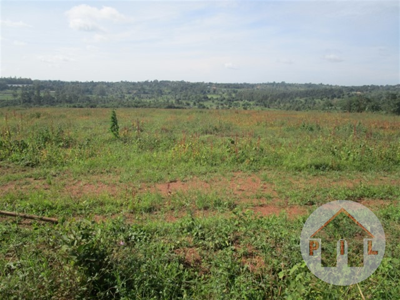 Agricultural Land for sale in Bombo Luweero