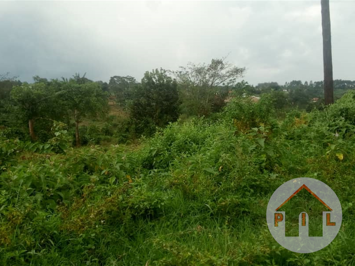 Agricultural Land for sale in Ssanga Mityana