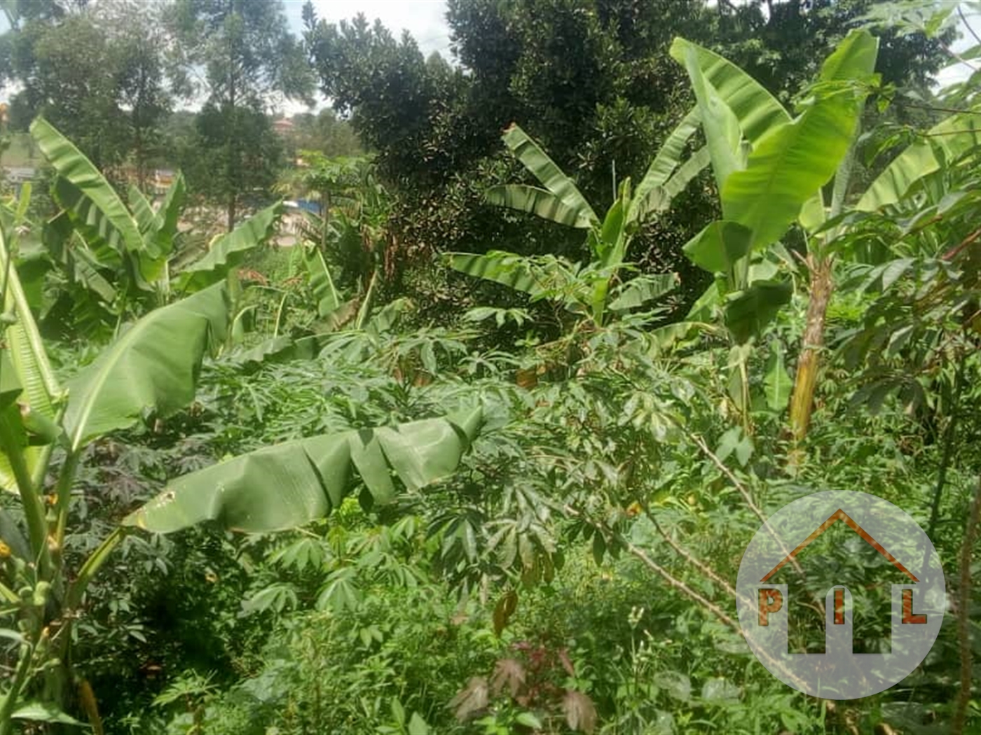 Agricultural Land for sale in Matugga Wakiso