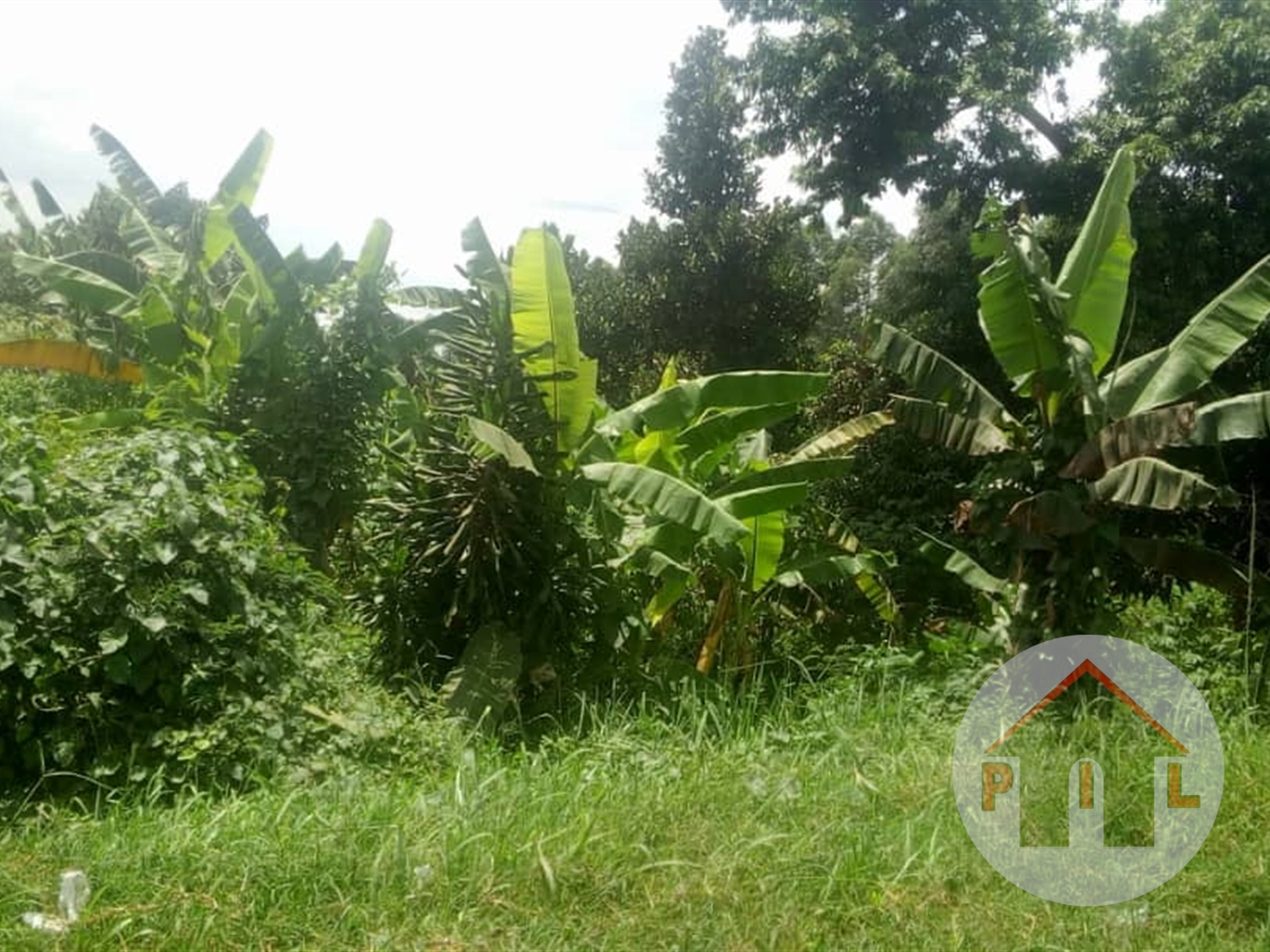 Agricultural Land for sale in Matugga Wakiso