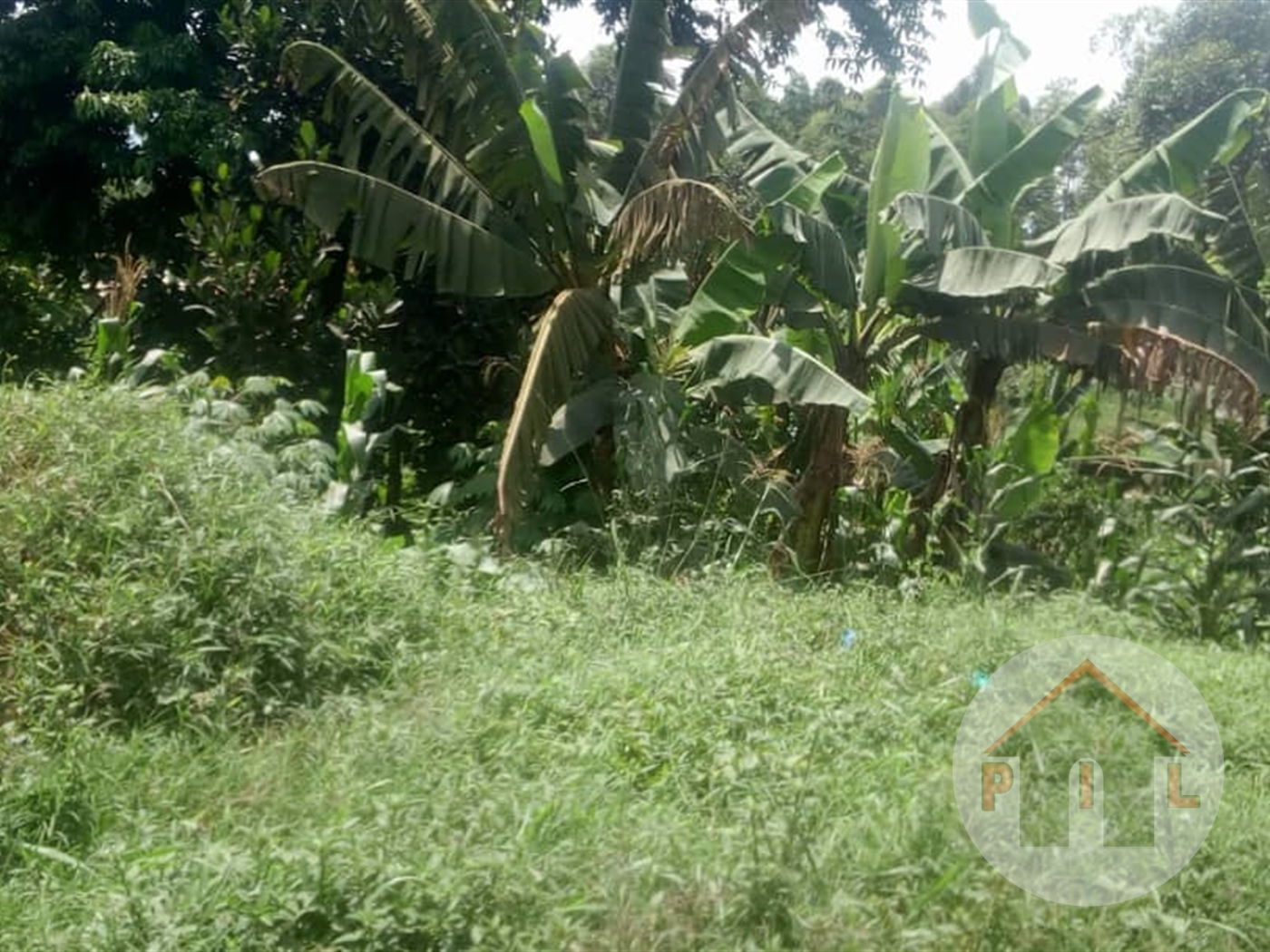 Agricultural Land for sale in Matugga Wakiso