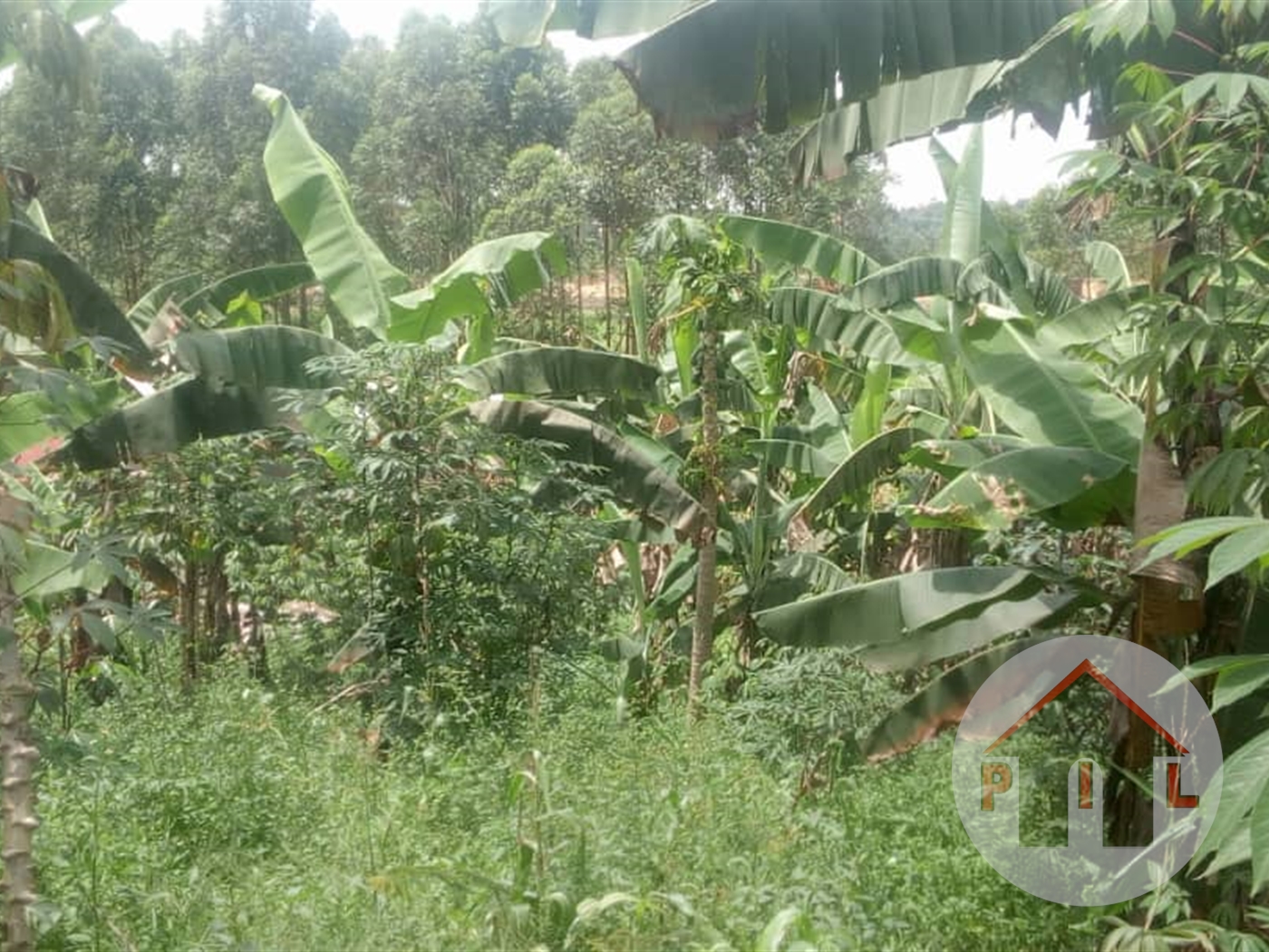 Agricultural Land for sale in Matugga Wakiso