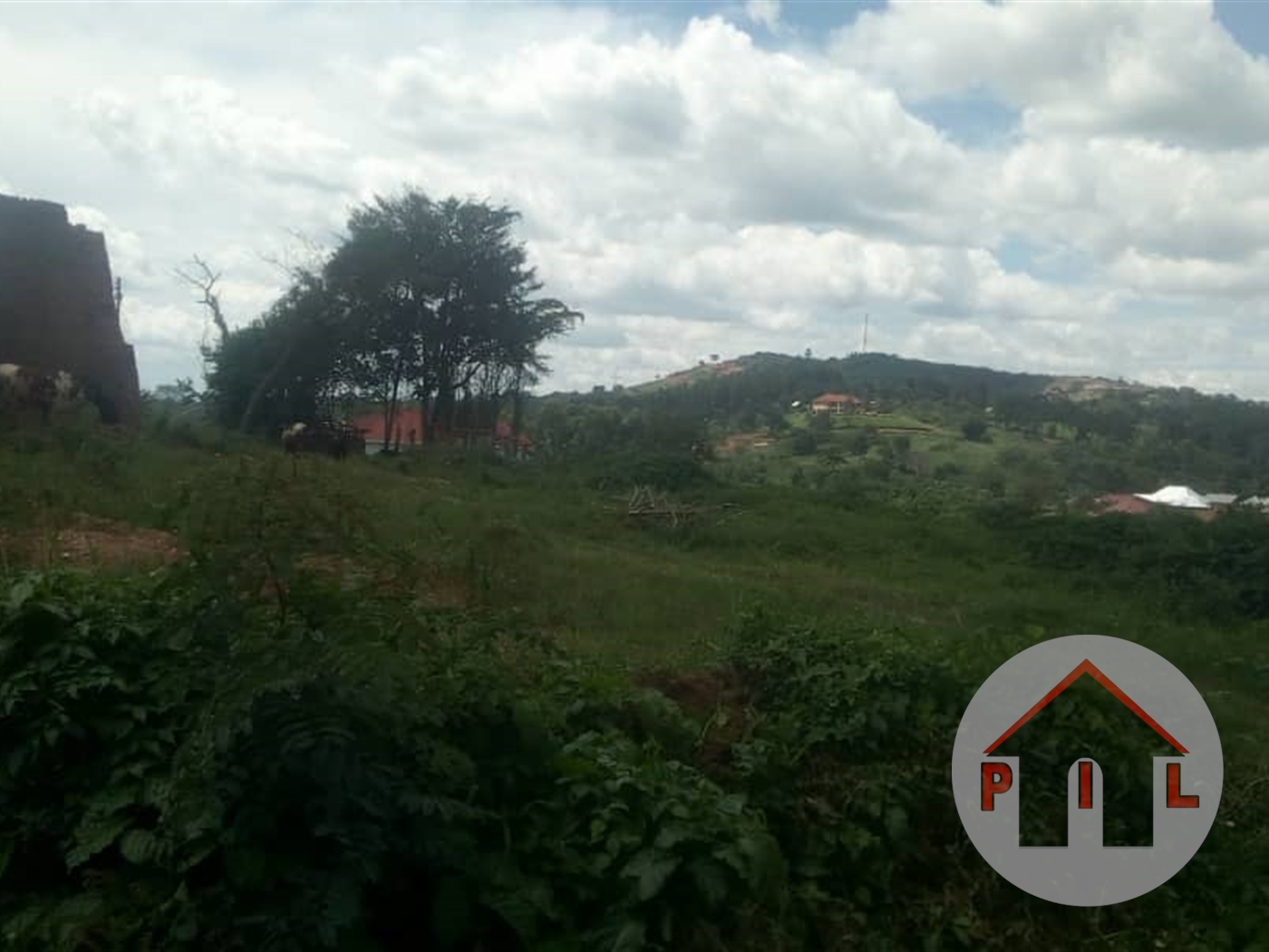 Agricultural Land for sale in Kigoogwa Luweero