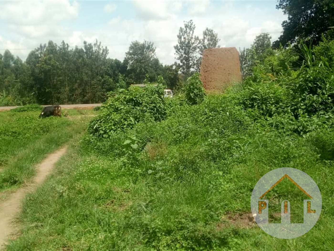 Agricultural Land for sale in Kigoogwa Luweero