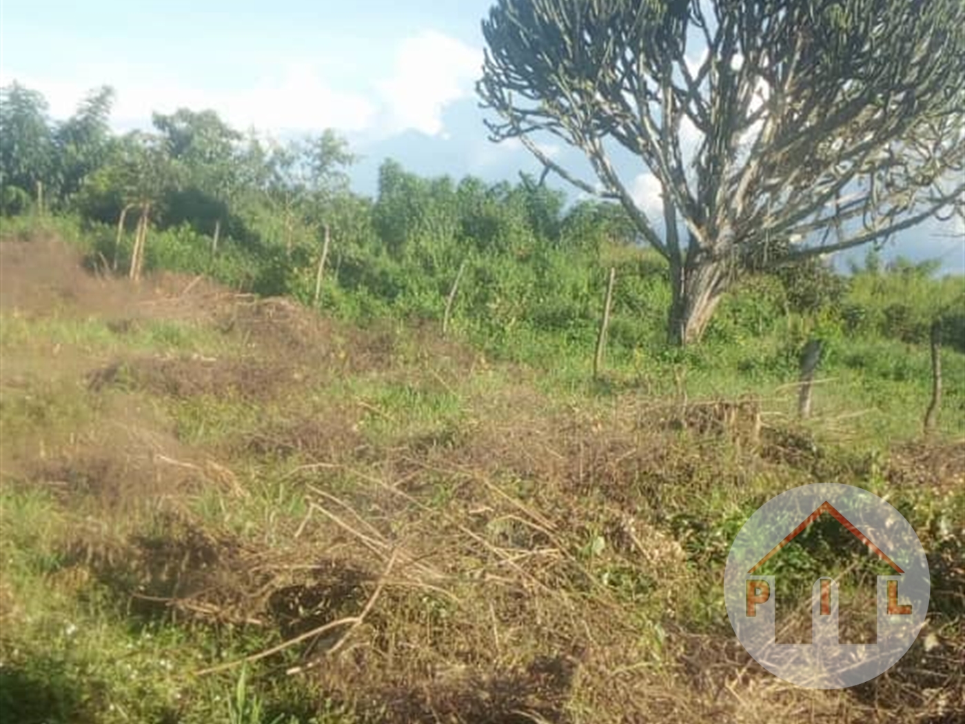 Agricultural Land for sale in Galilaya Kayunga