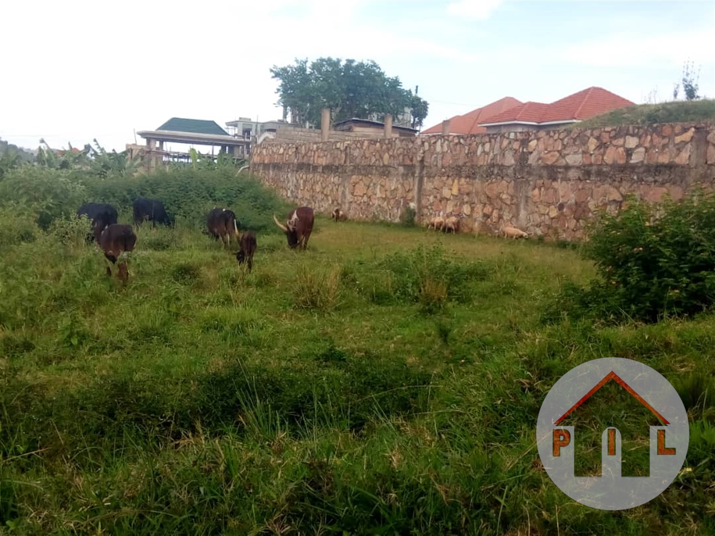 Residential Land for sale in Lubowa Wakiso