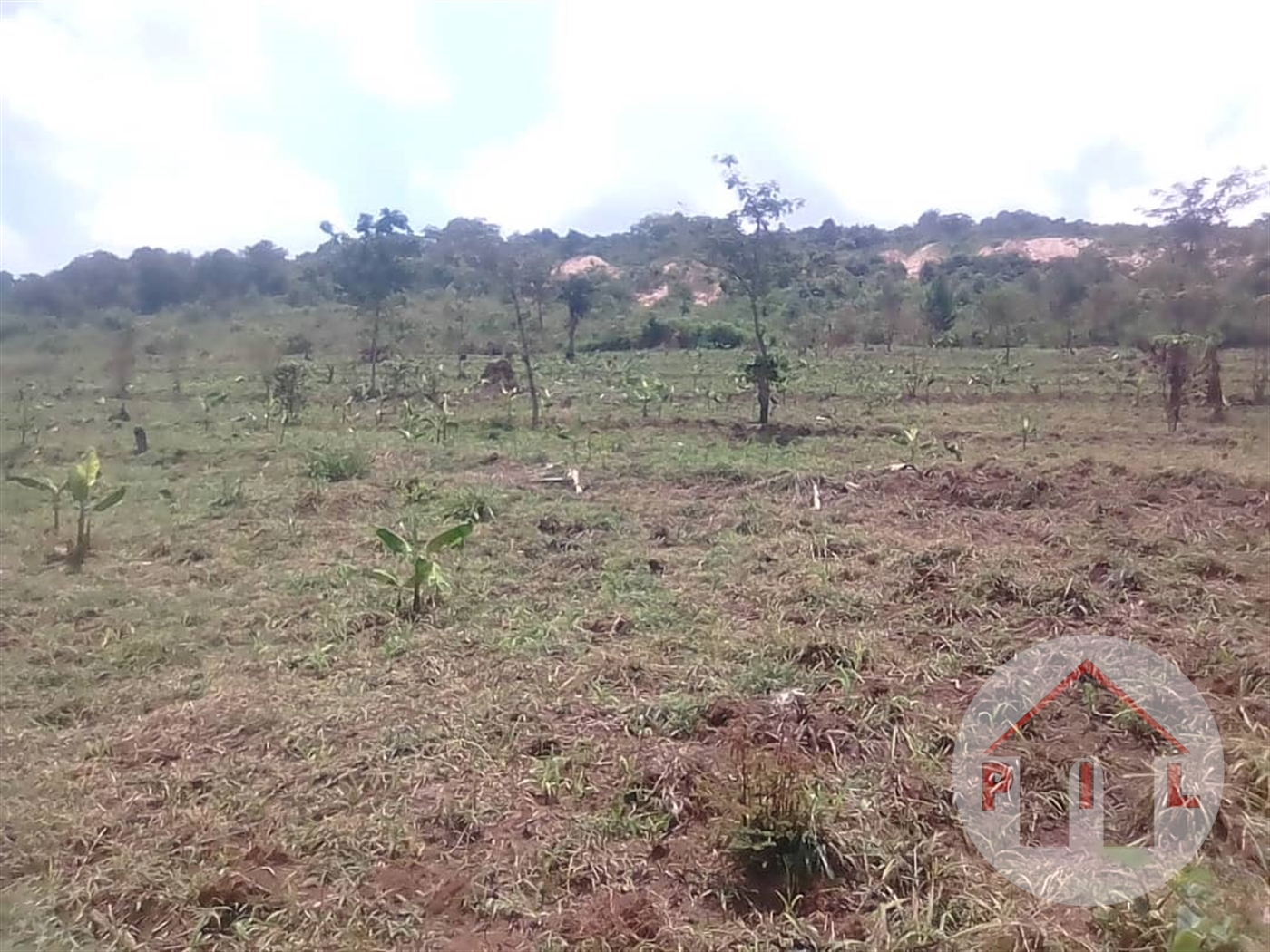 Multipurpose Land for sale in Nakasongola Nakasongola