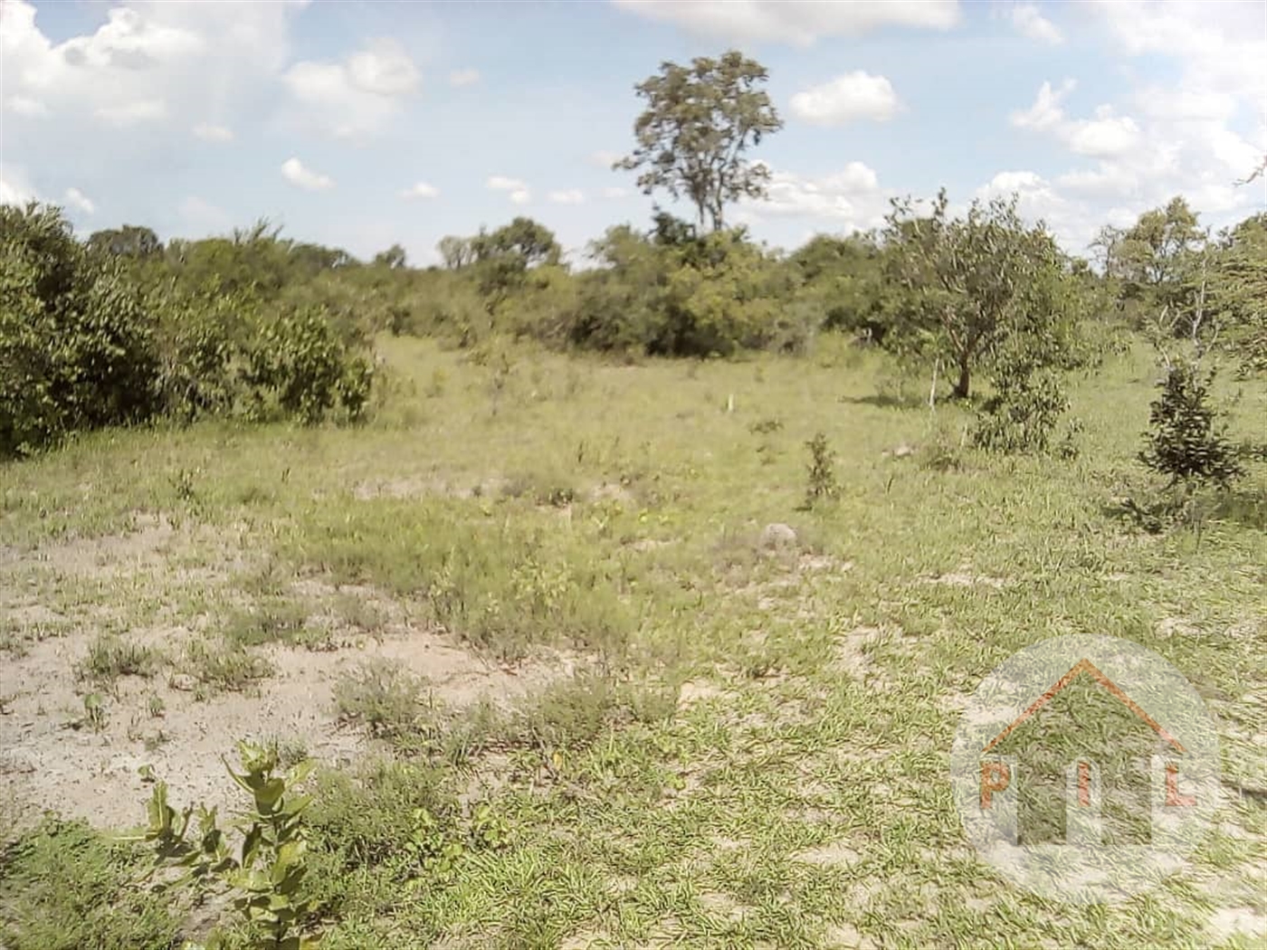 Multipurpose Land for sale in Nakasongola Nakasongola