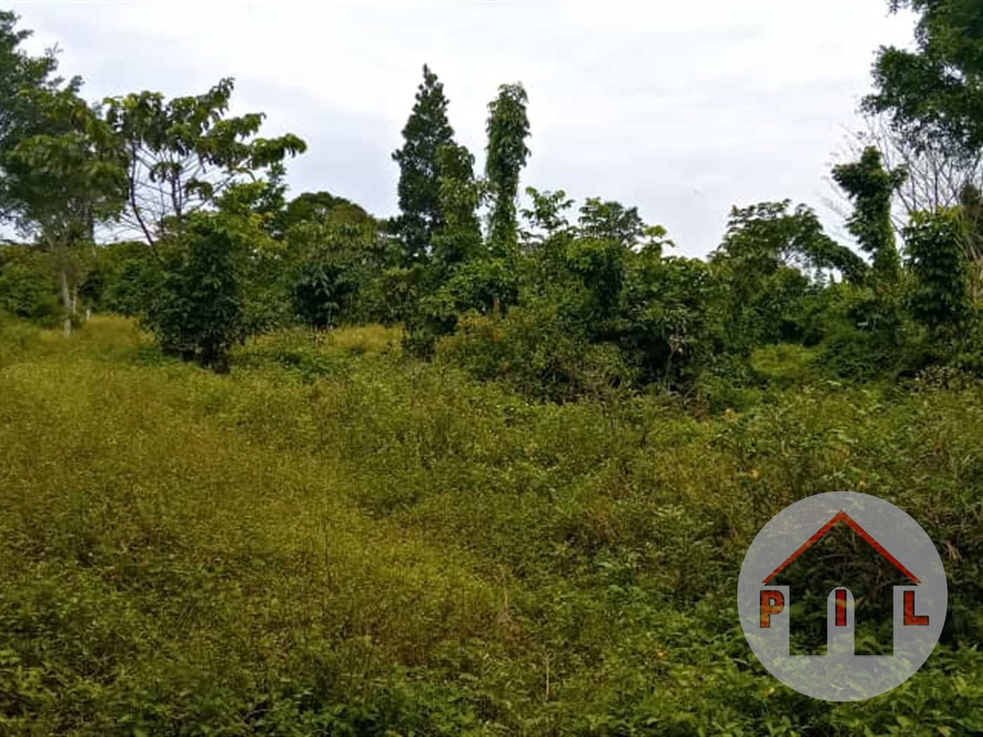 Agricultural Land for sale in Janda Wakiso