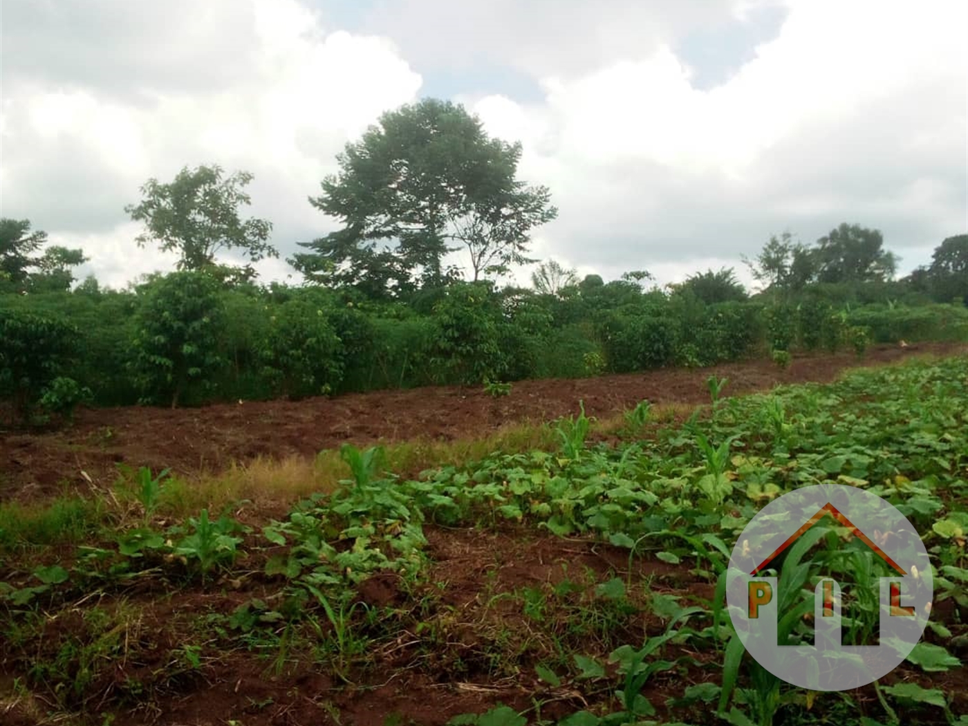 Agricultural Land for sale in Kiwangula Wakiso