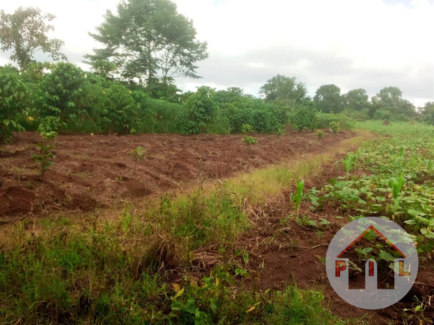 Agricultural Land for sale in Kiwangula Wakiso