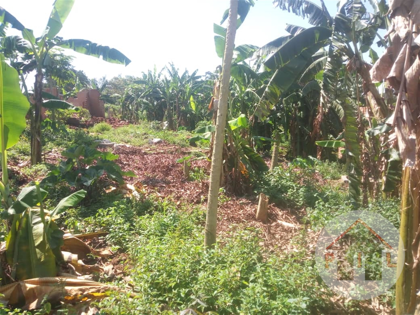 Residential Land for sale in Kiwenda Wakiso