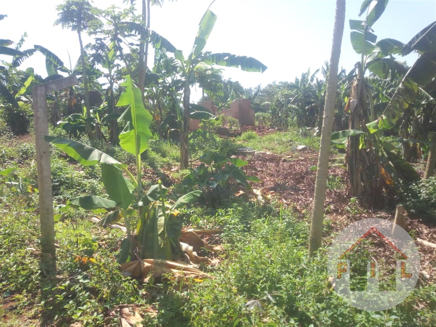 Residential Land for sale in Kiwenda Wakiso