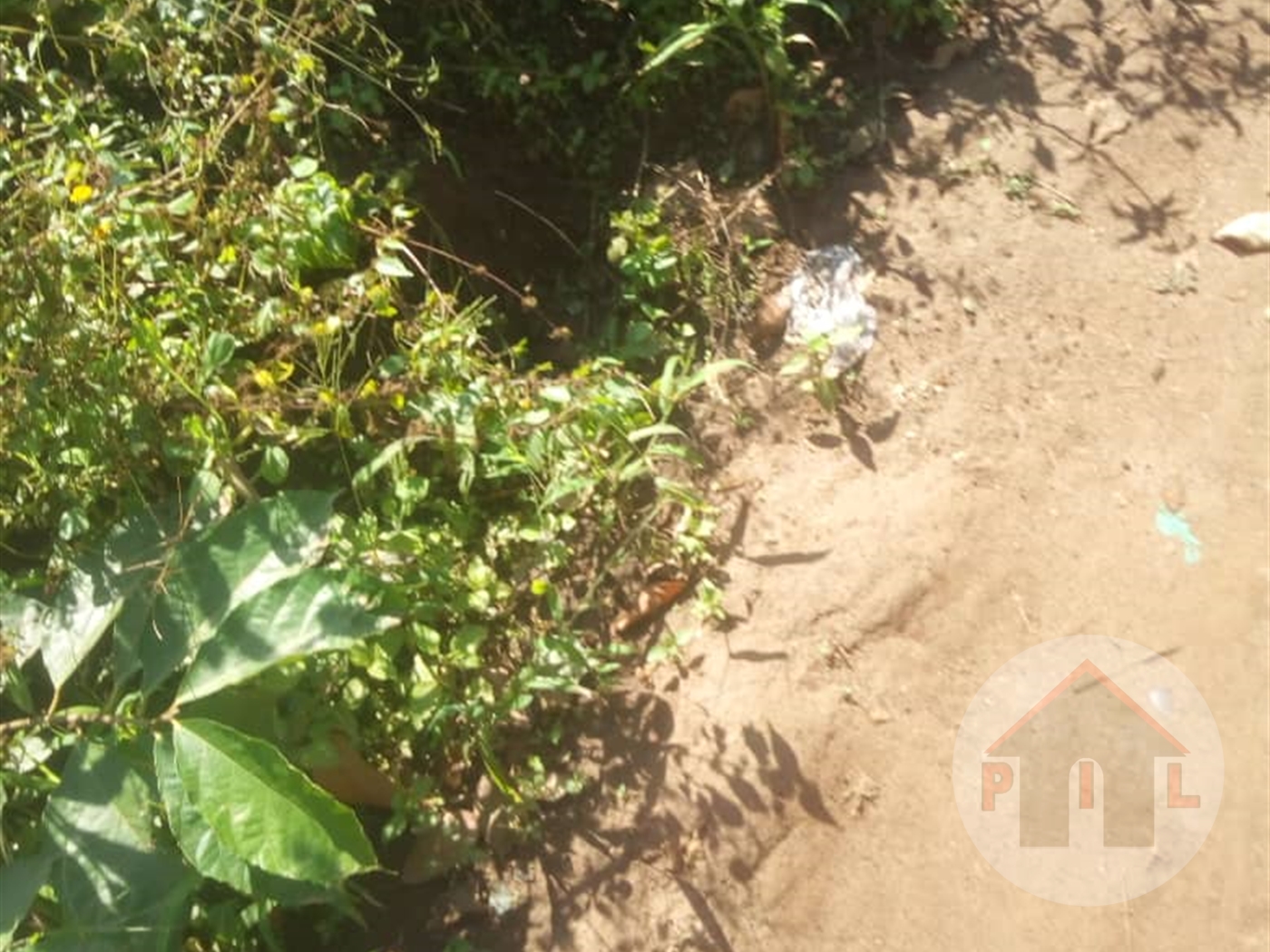 Residential Land for sale in Kiwenda Wakiso