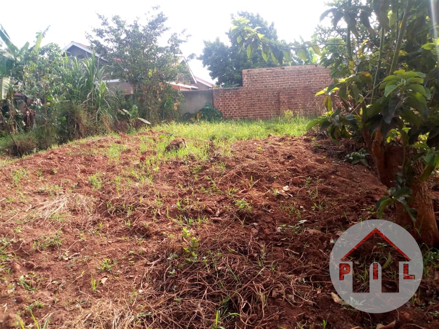 Agricultural Land for sale in Ntenjjeru Mukono