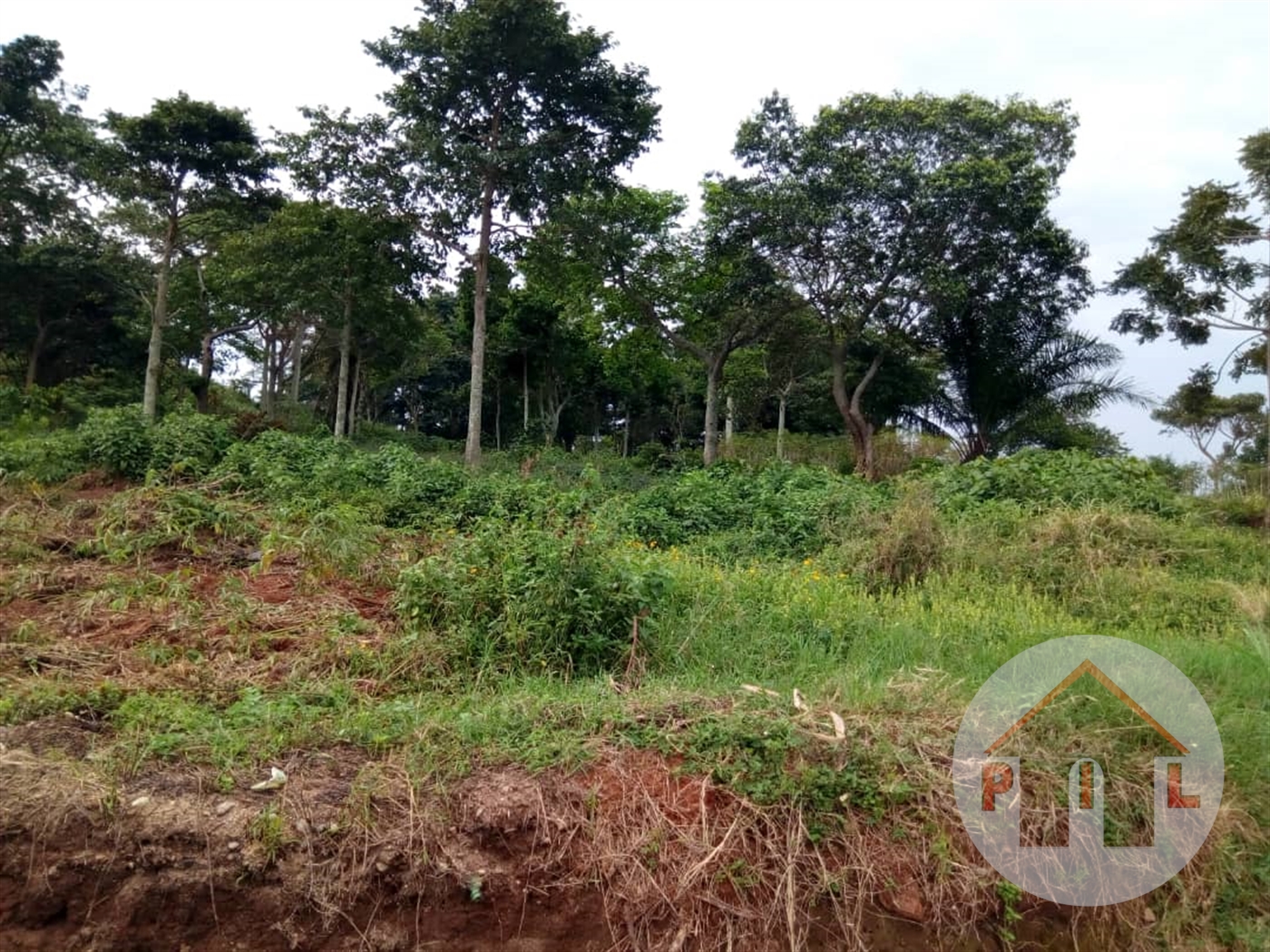 Multipurpose Land for sale in Kikyuusa Mukono