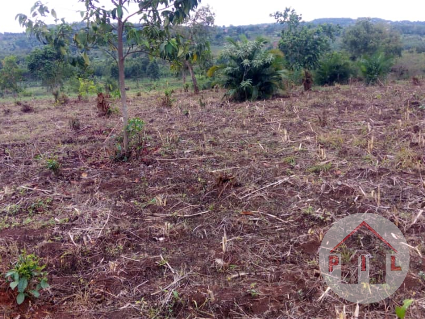 Multipurpose Land for sale in Kikyuusa Mukono