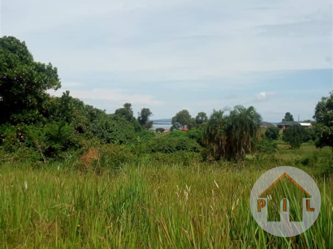Agricultural Land for sale in Kajjansi Wakiso