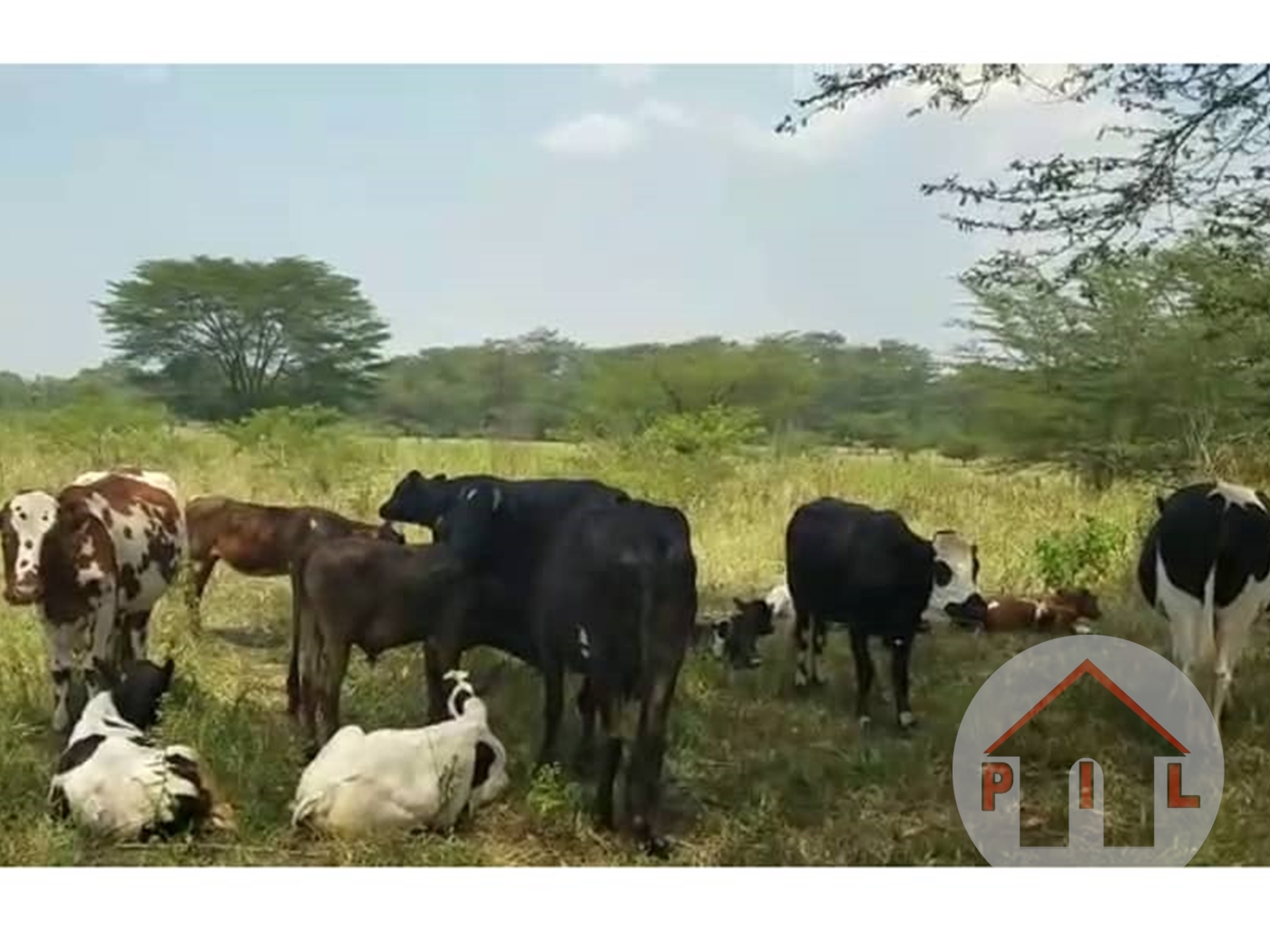 Agricultural Land for sale in Kijabijo Wakiso