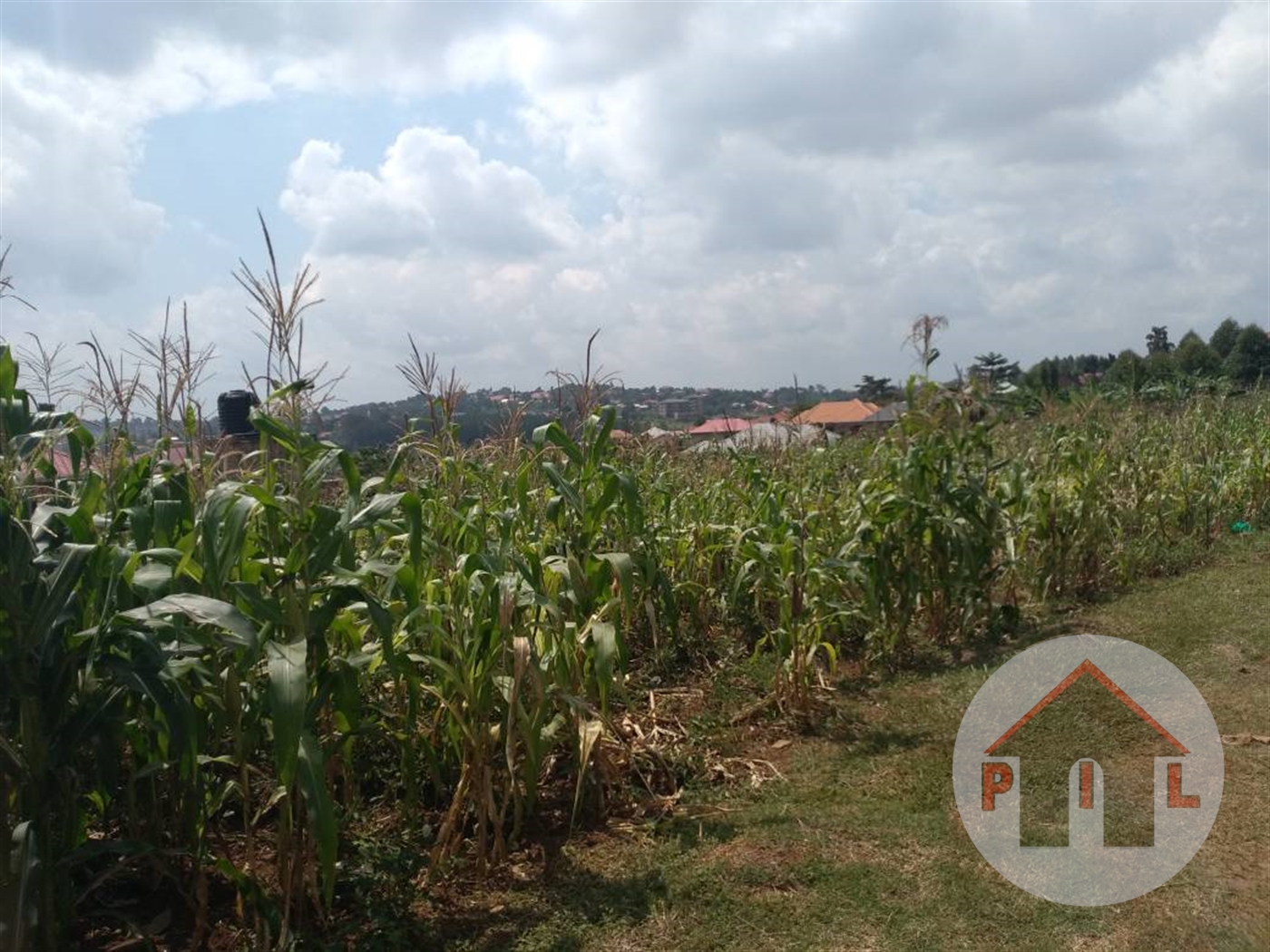 Agricultural Land for sale in Nakweelo Wakiso