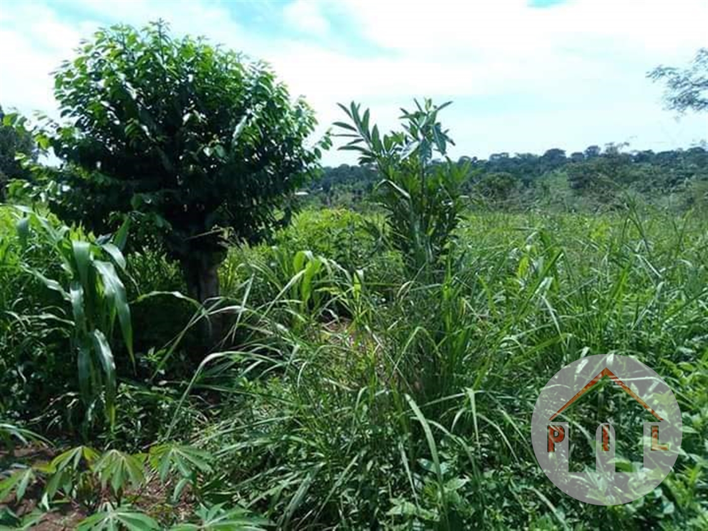 Agricultural Land for sale in Matugga Wakiso