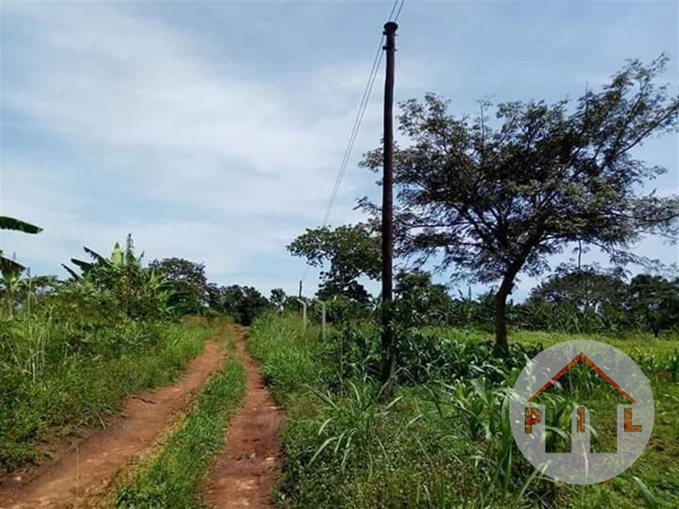 Agricultural Land for sale in Matugga Wakiso