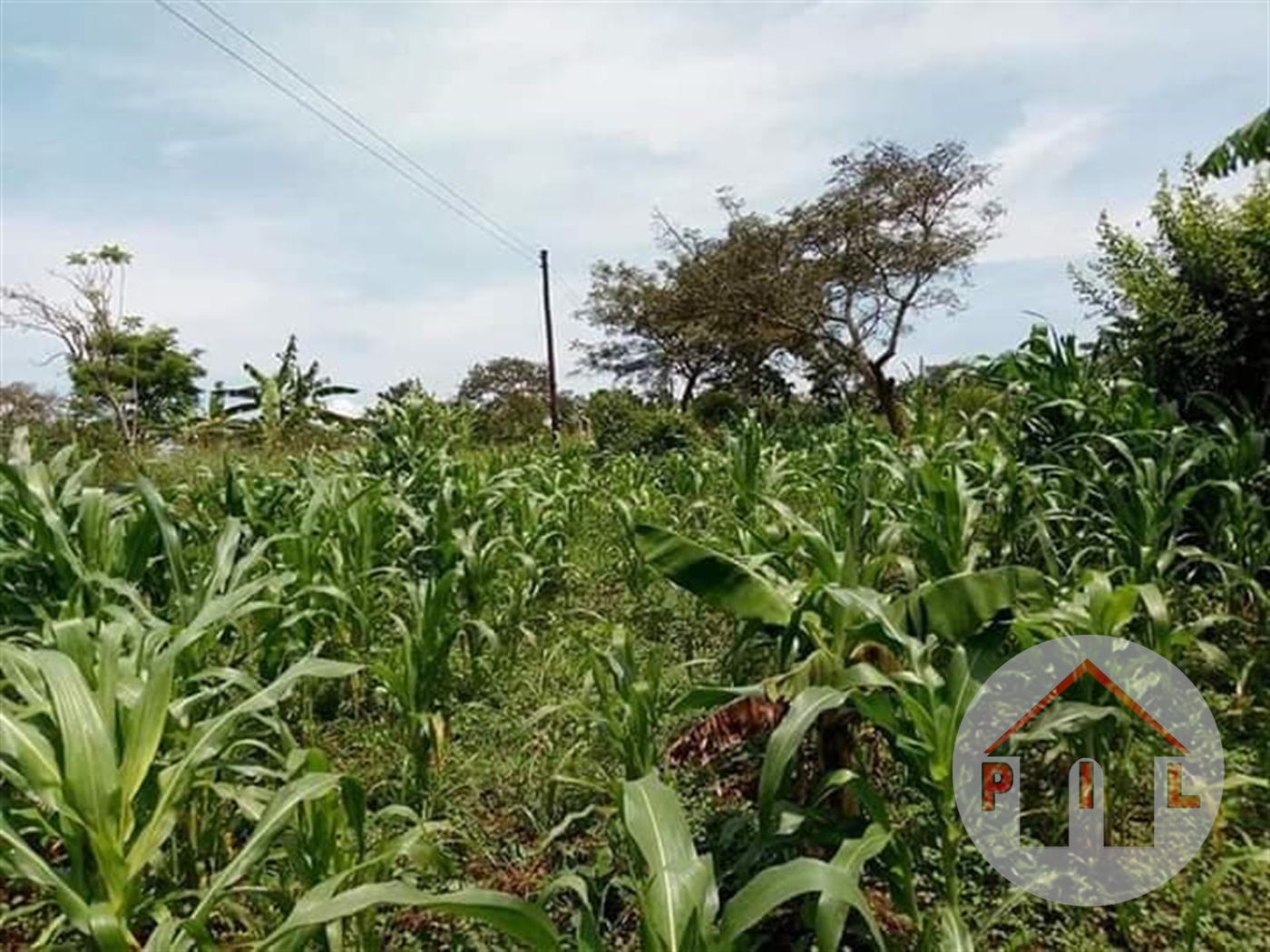 Agricultural Land for sale in Matugga Wakiso