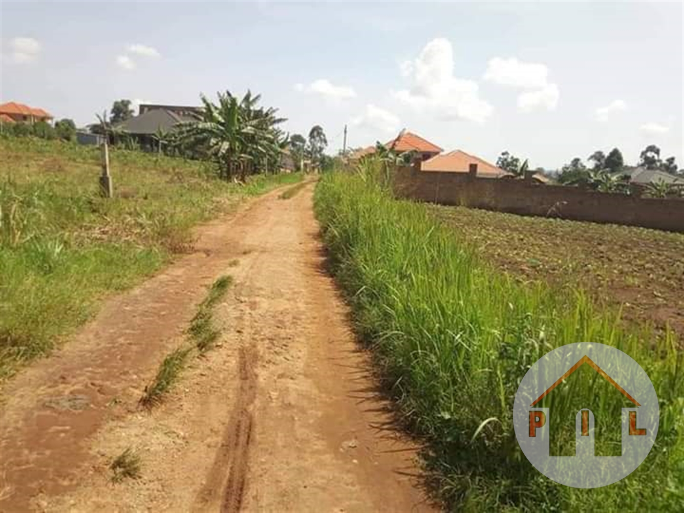Agricultural Land for sale in Kubikondo Mpigi