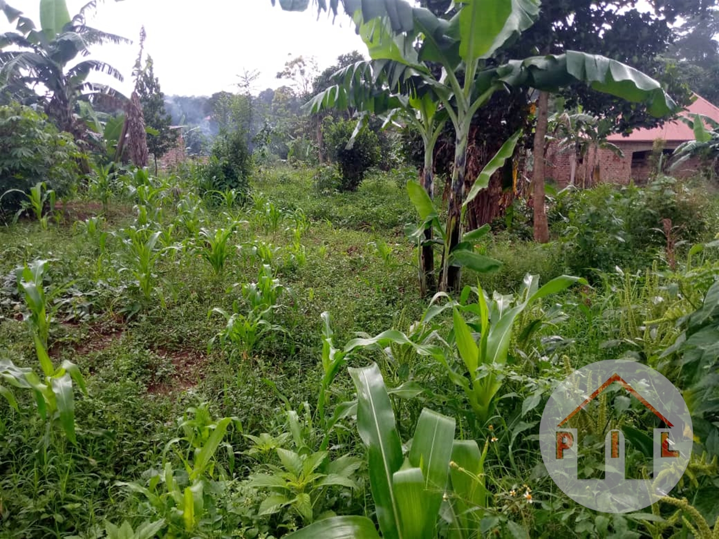 Multipurpose Land for sale in Gayaza Wakiso