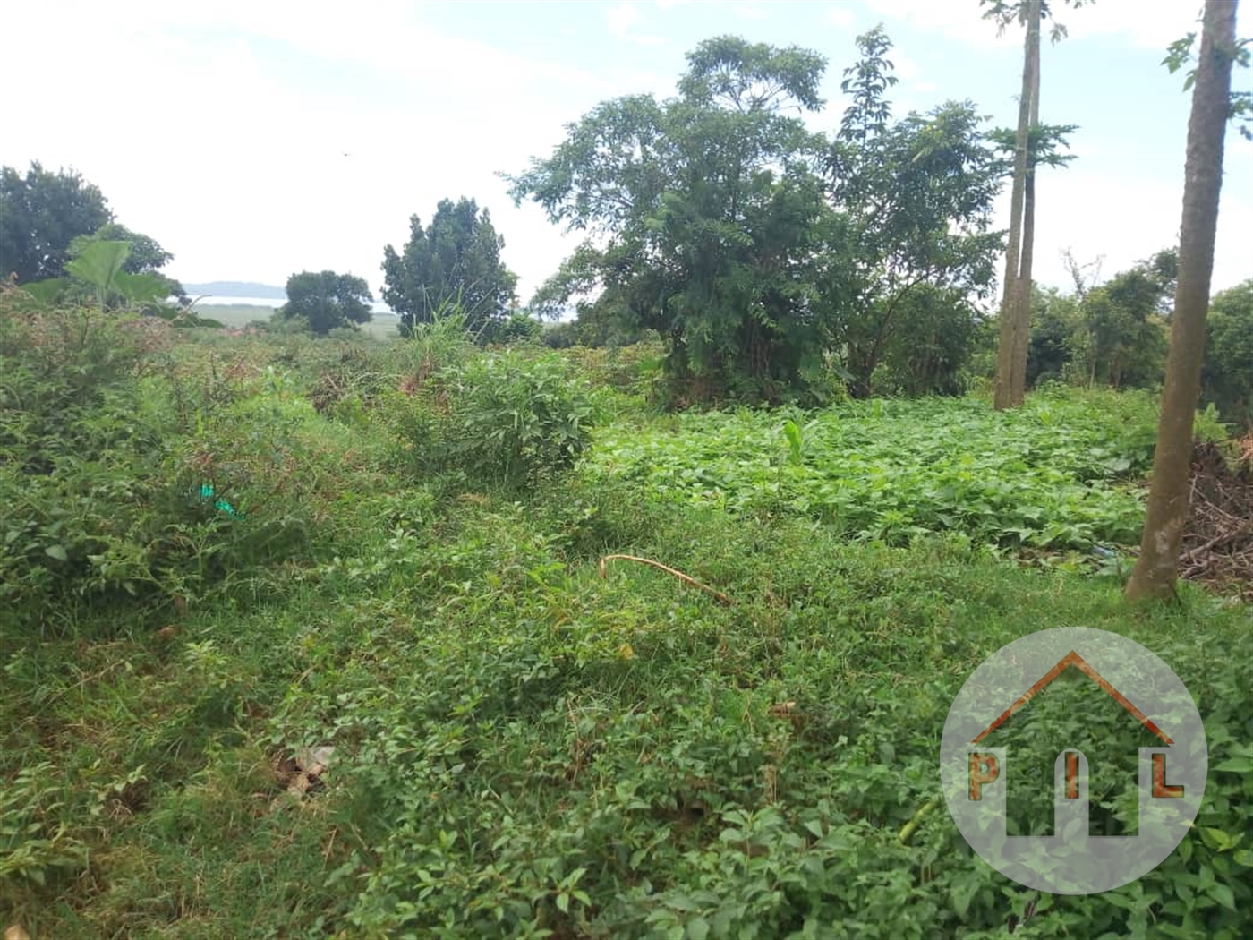 Agricultural Land for sale in Kirinya Wakiso