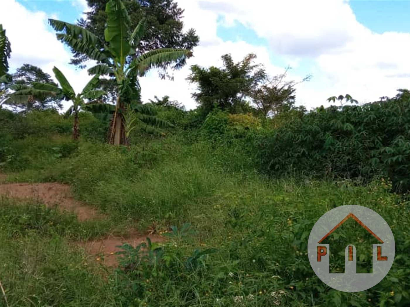 Agricultural Land for sale in Kiwenda Wakiso