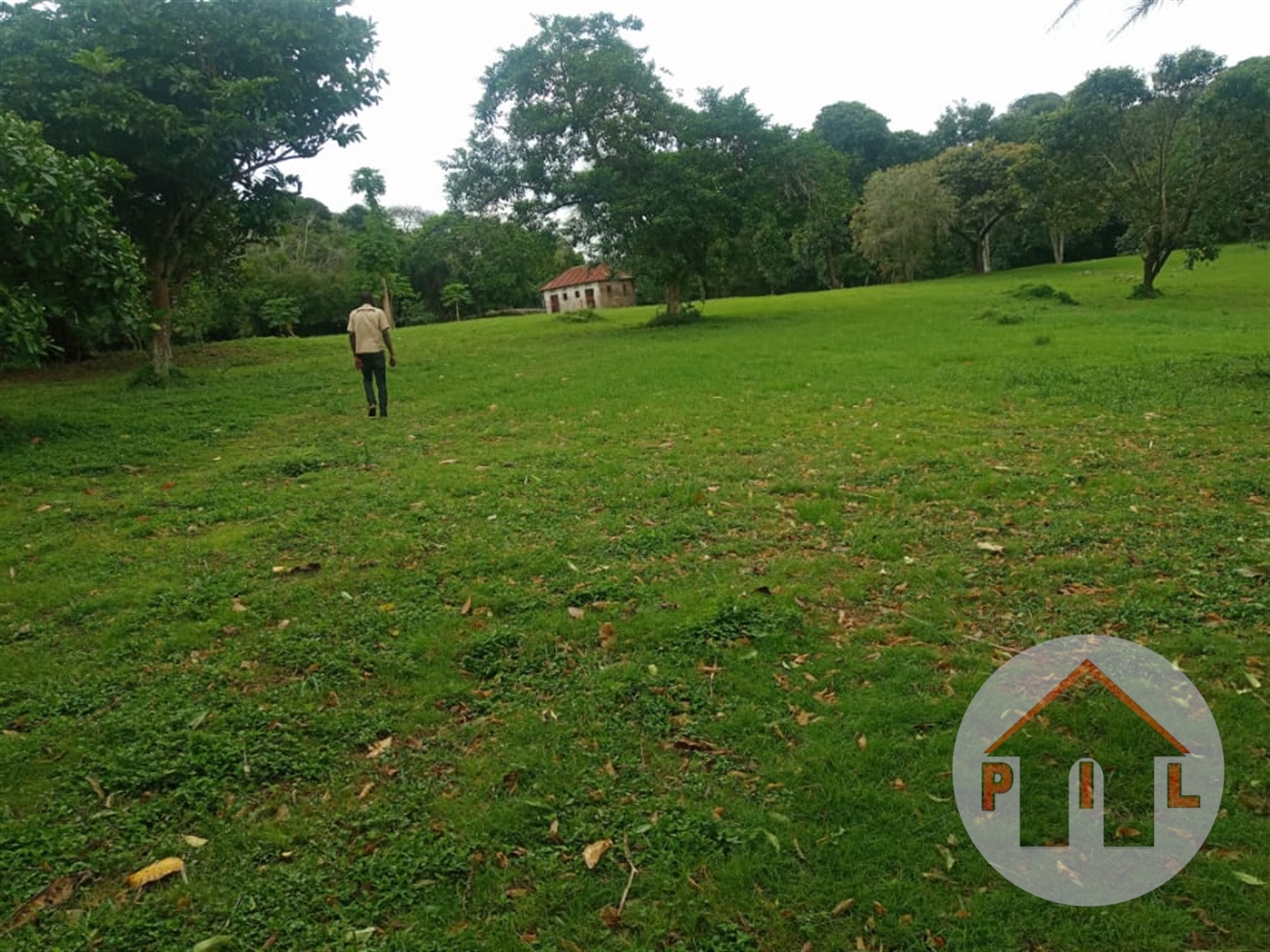 Agricultural Land for sale in Busukuma Wakiso