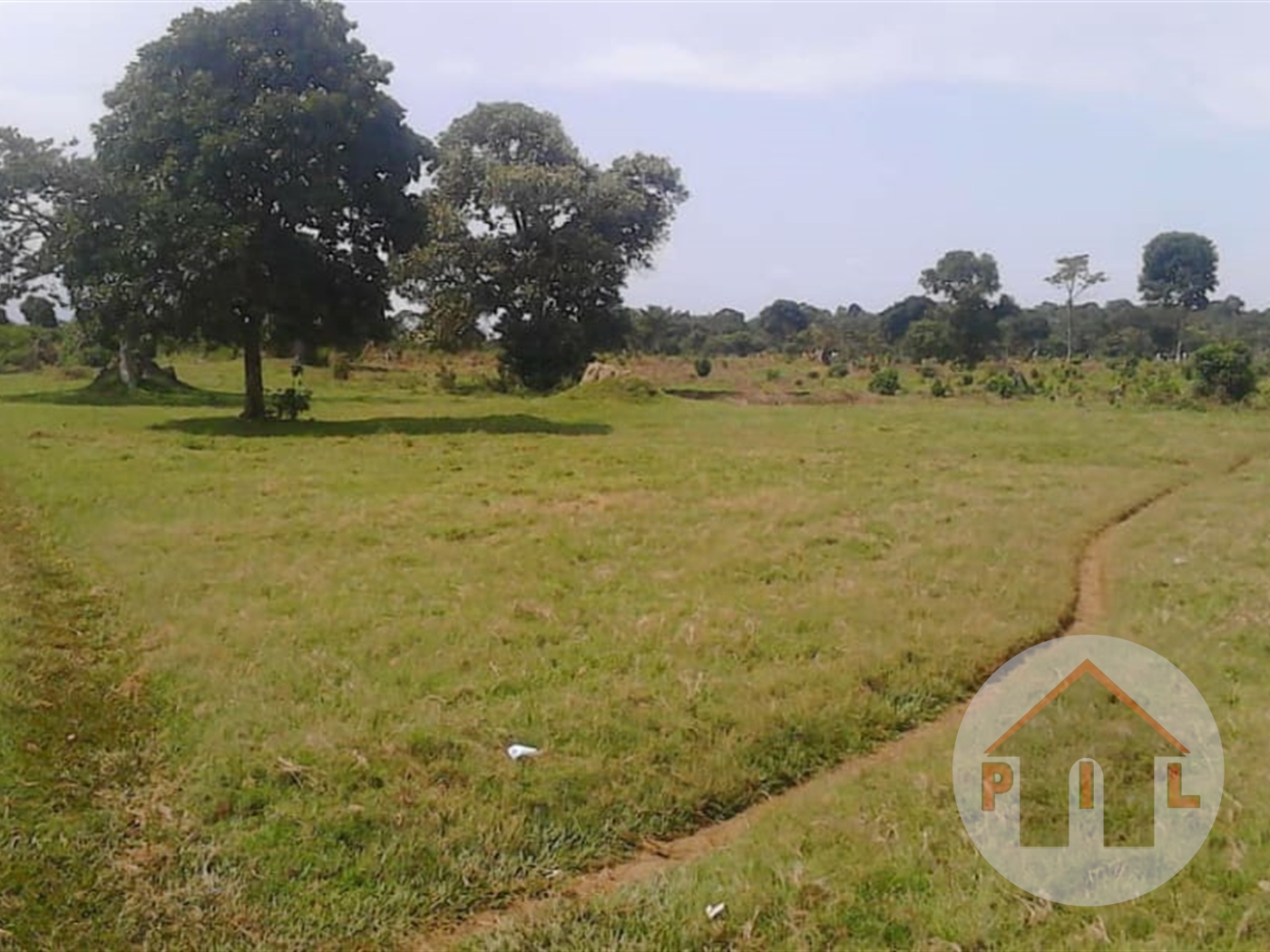 Agricultural Land for sale in Bujuuko Mityana