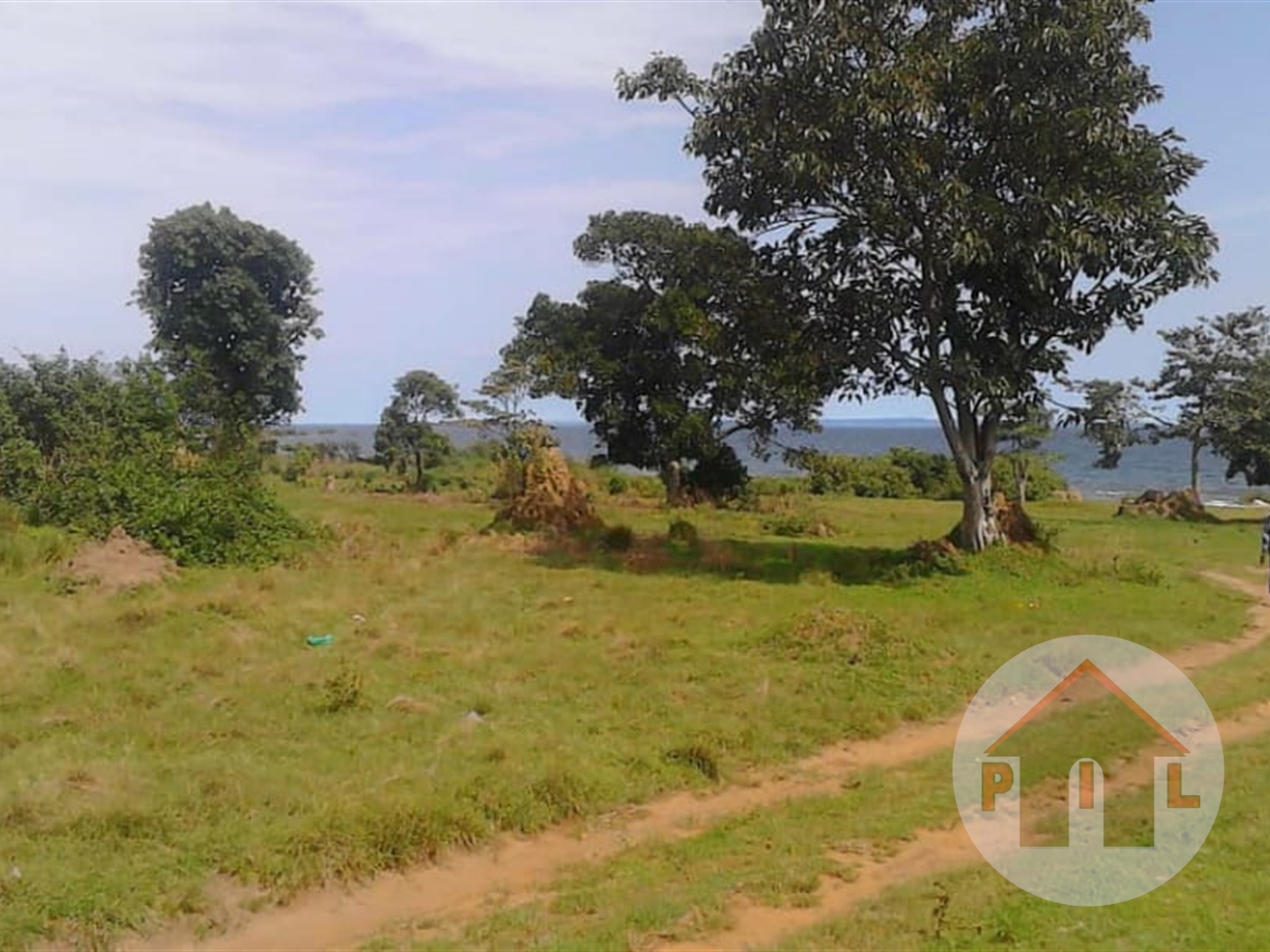 Agricultural Land for sale in Bujuuko Mityana